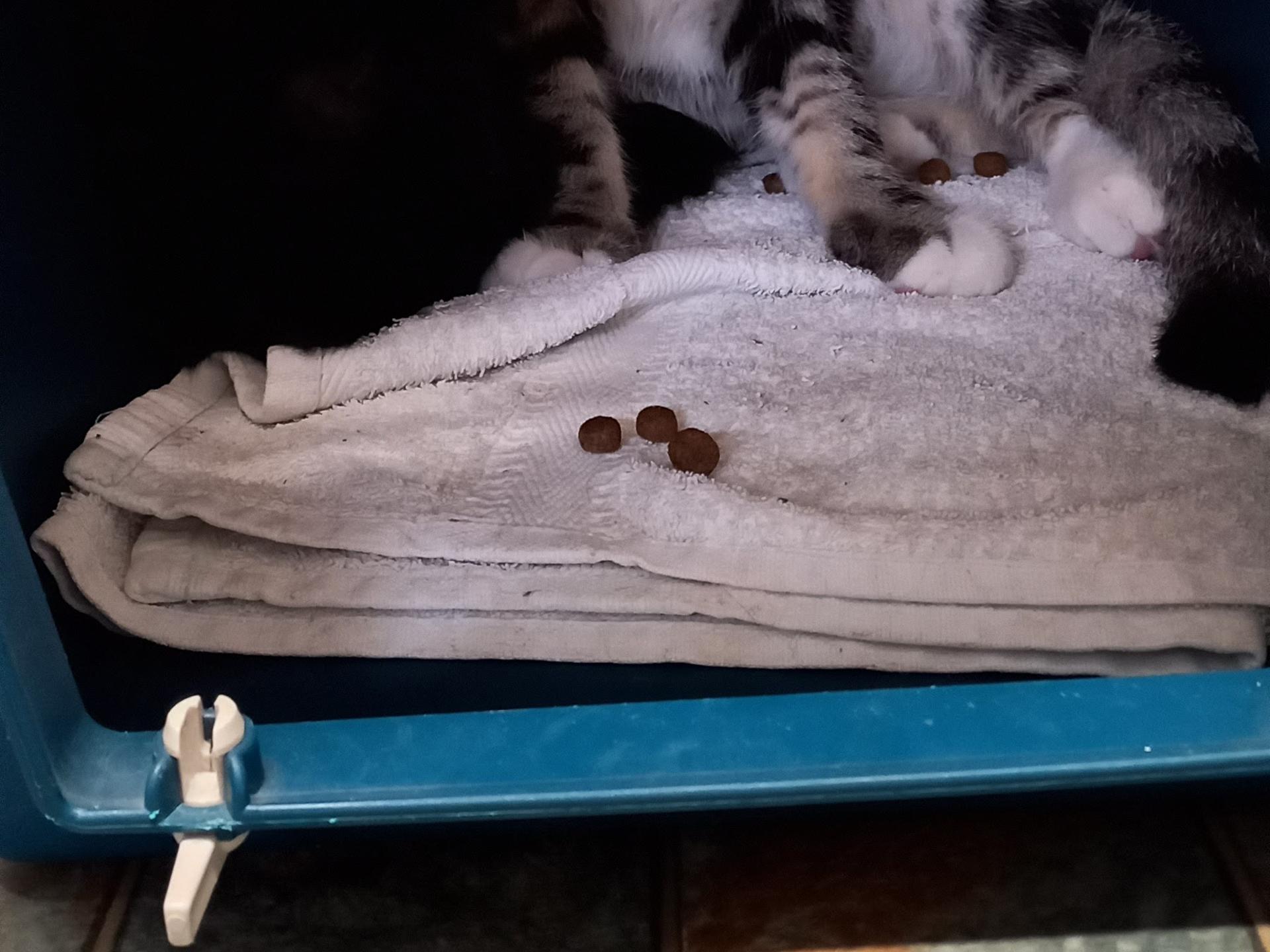 Ansicht 2 von Dr.med.vet. Martina Döring | Tierärztin