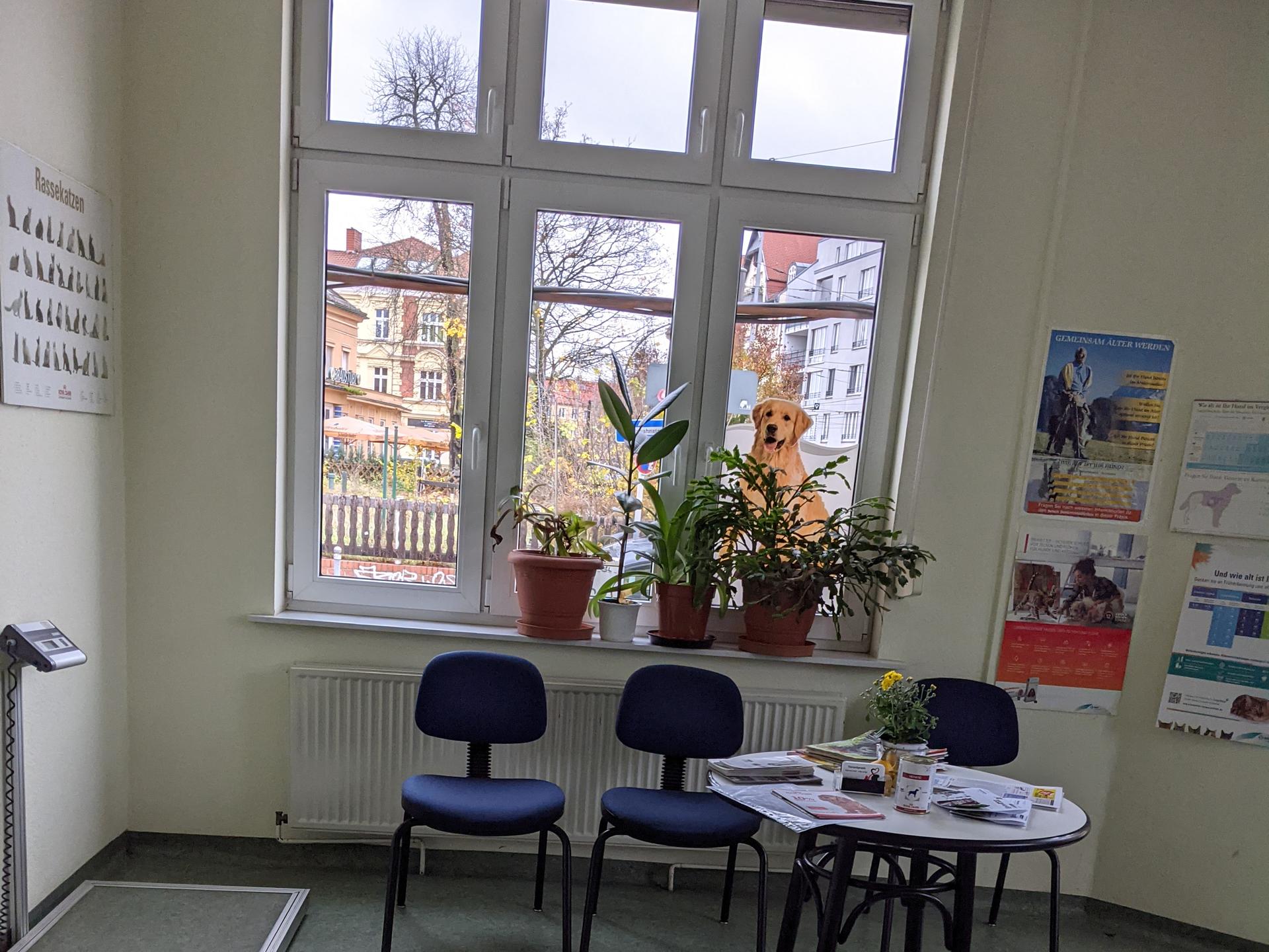 Ansicht 1 von Tierarztpraxis Lange