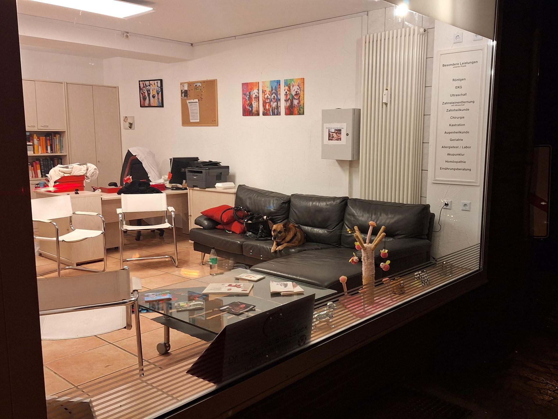Ansicht 3 von Dr. med. vet. Eva Lauck