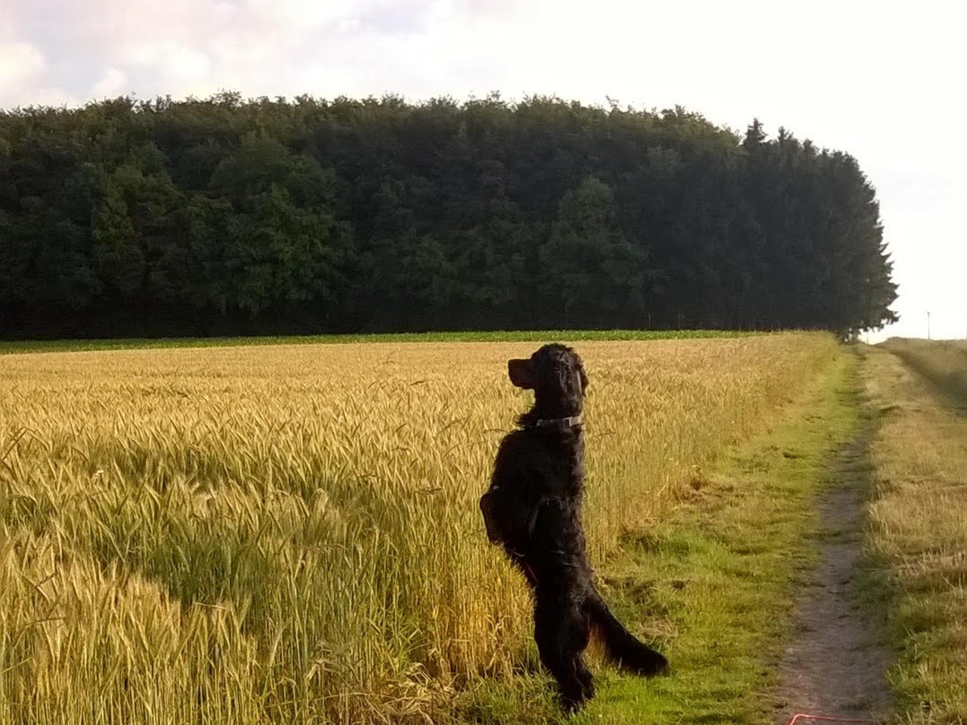 Ansicht 3 von Claudia Puffahrt Tierärztin