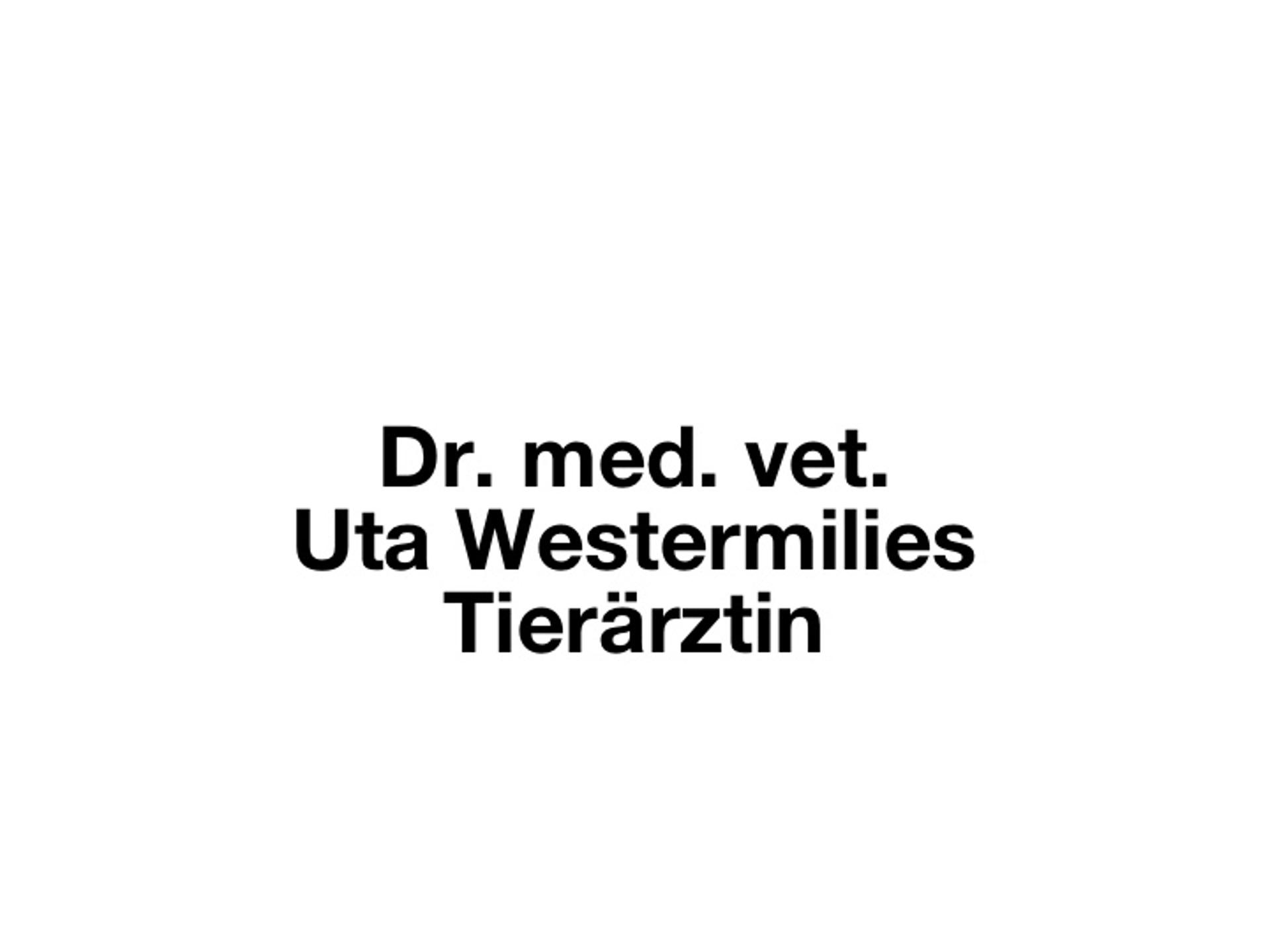 Ansicht 3 von Dr. med. vet. Uta Westermilies Tierärztin