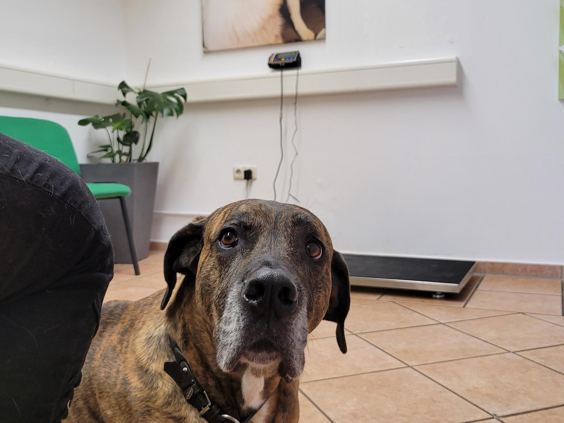 Ansicht 1 von Tierarztpraxis Koch