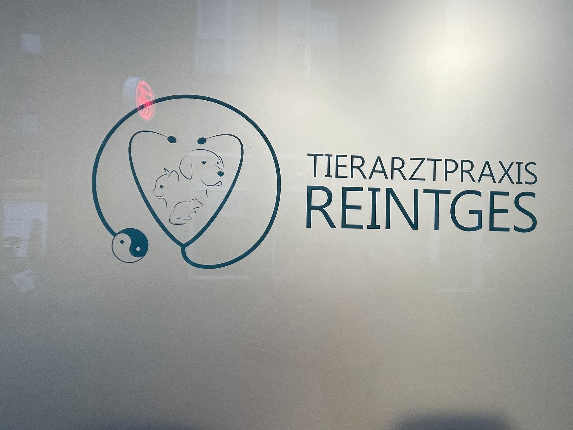 View 2 of Tierarztpraxis Reintges
