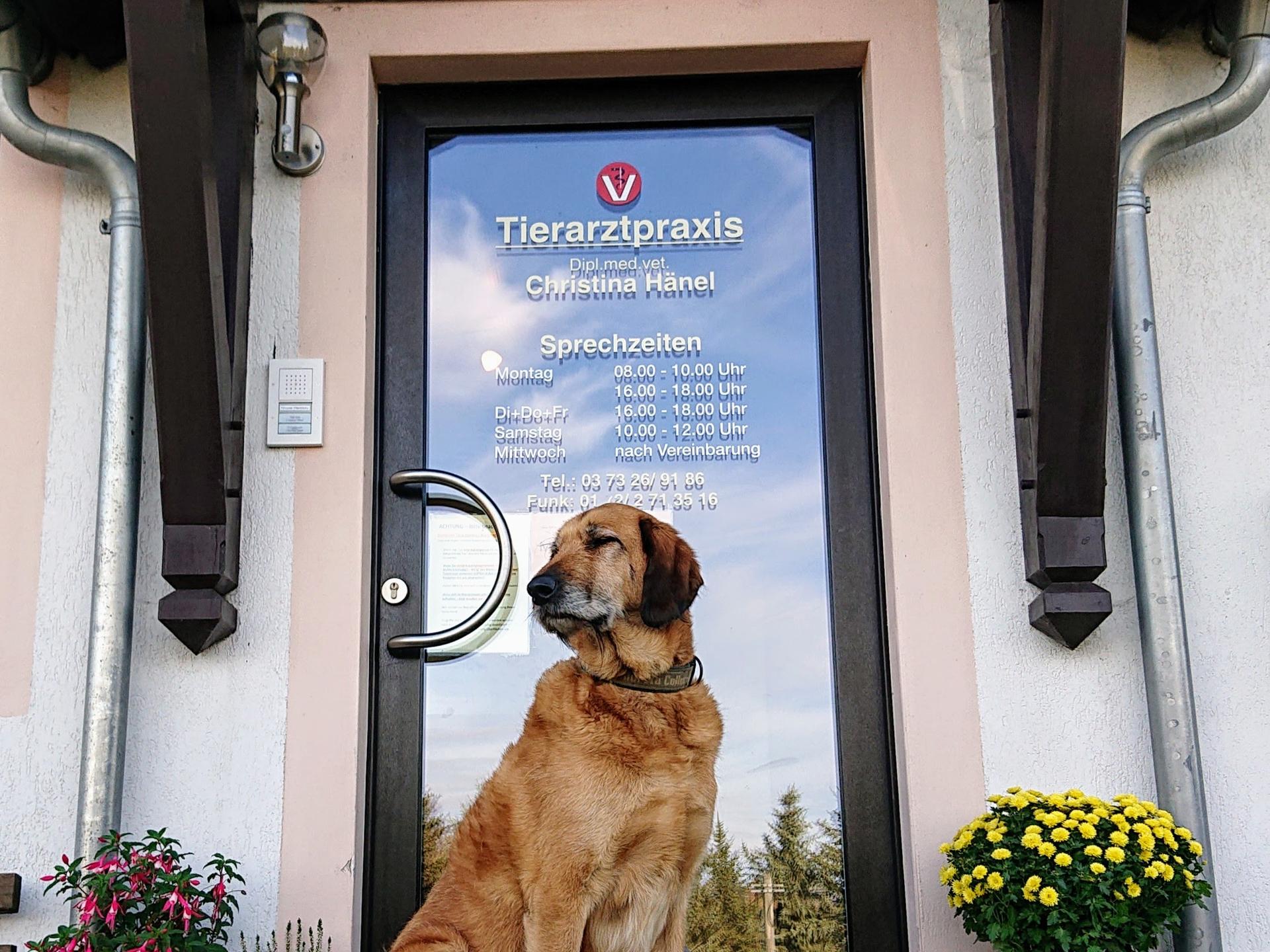 Ansicht 1 von Tierarztpraxis Zur Steinbrückmühle