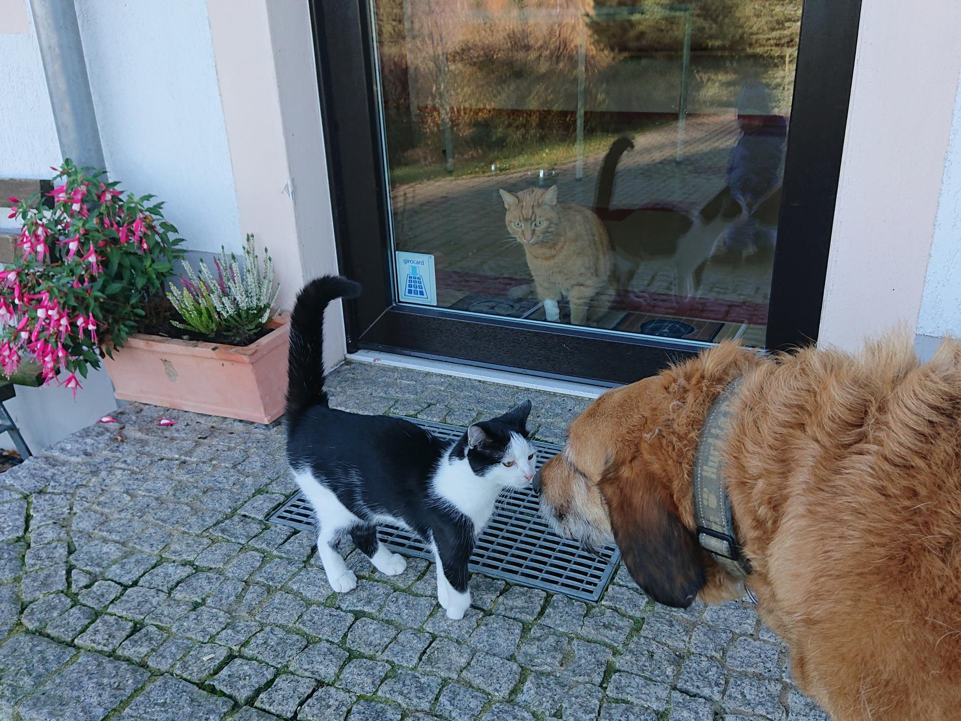 Ansicht 3 von Tierarztpraxis Zur Steinbrückmühle