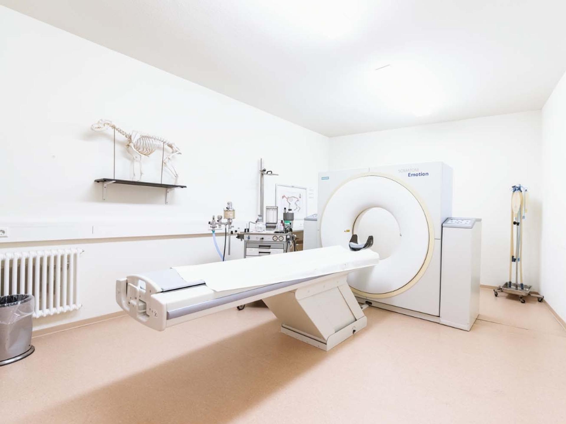 Ansicht 3 von Tierarzt Möhnle Kehl, Fachtierärztliches Zentrum für Kleintiere Kehl-Hanauerland