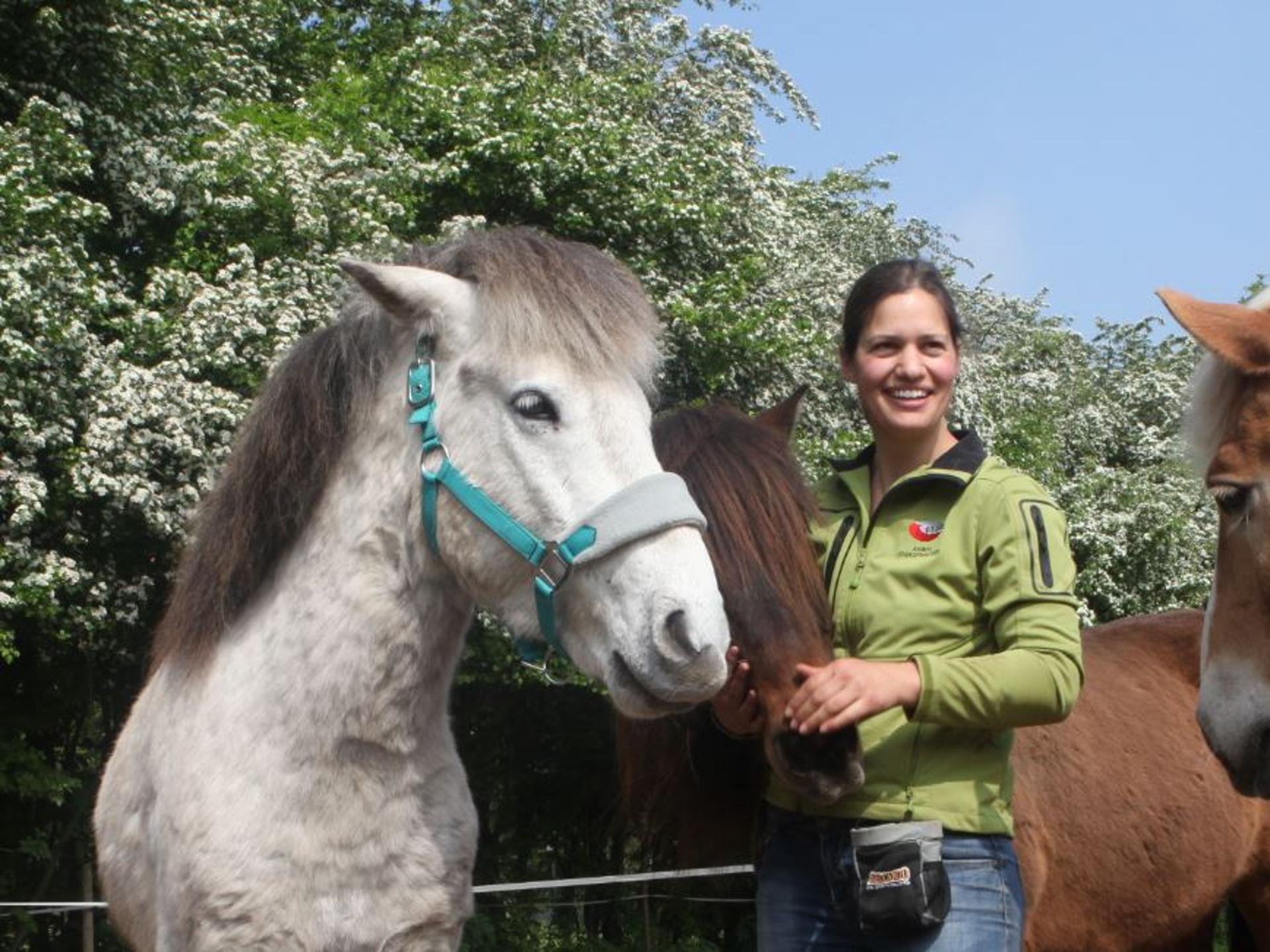 Ansicht 1 von Tierarztpraxis Garre