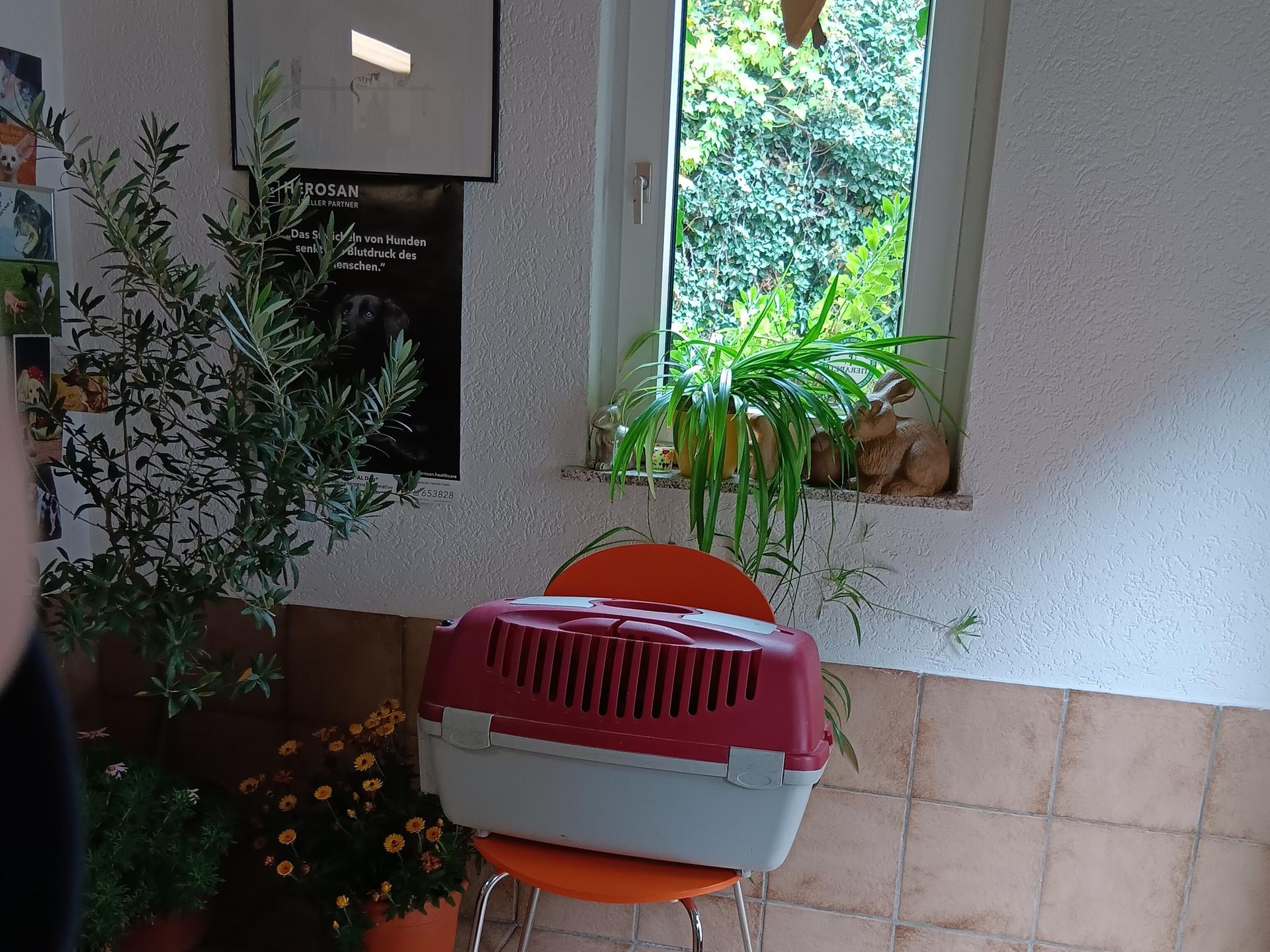 Ansicht 3 von Harriet Harth Tierarzt