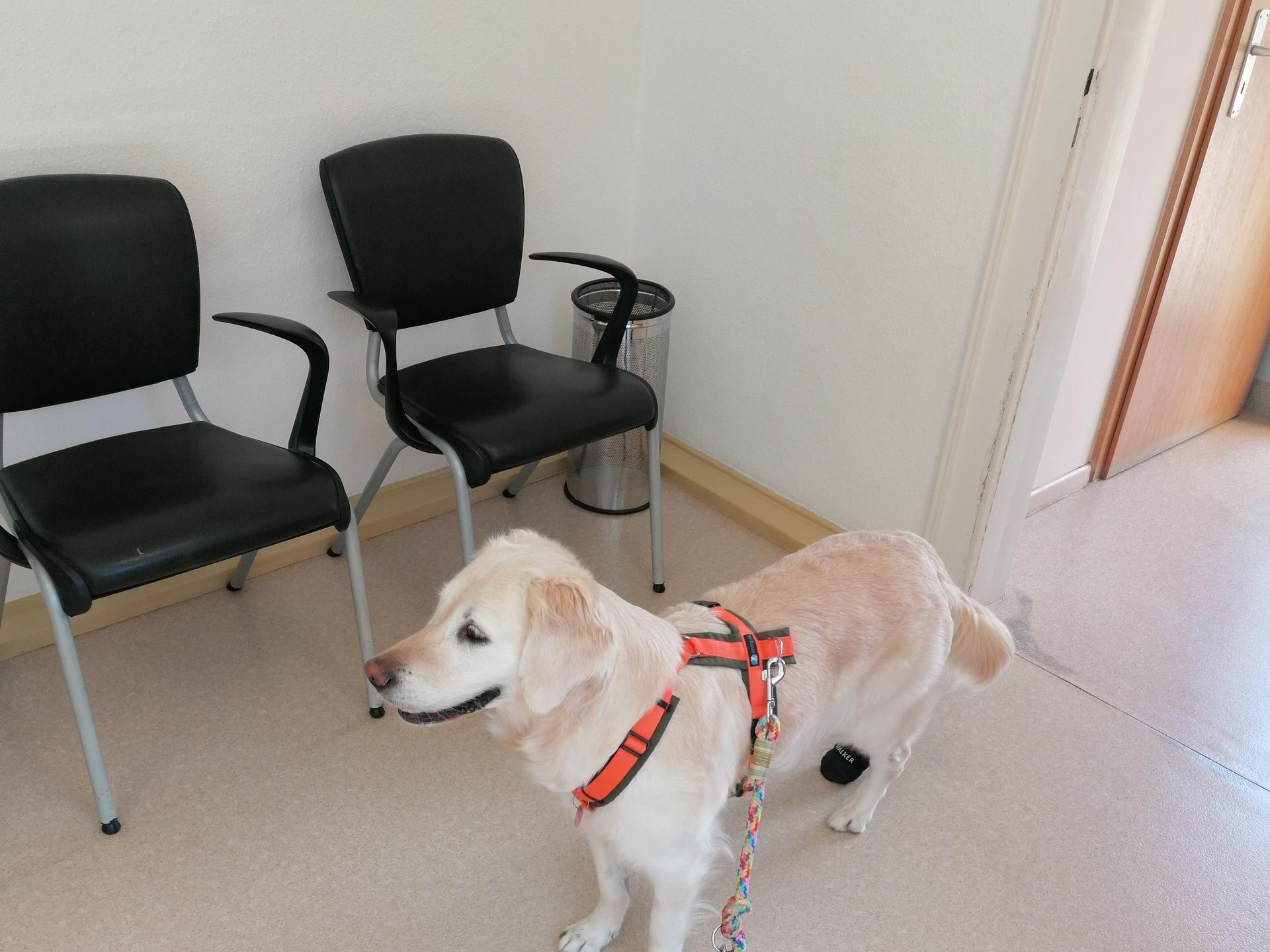 View 1 of Dr.med.vet. Martin Schweizer