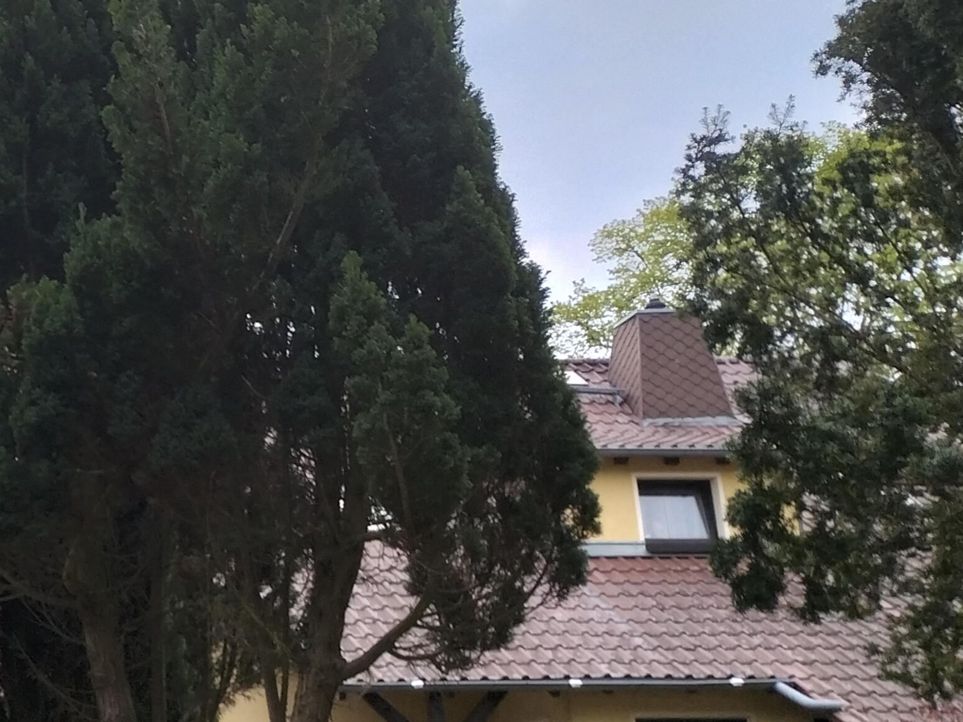 Ansicht 1 von Tierarztpraxis Groß Köris Fabienne Gutschwager Praktische Tierärztin