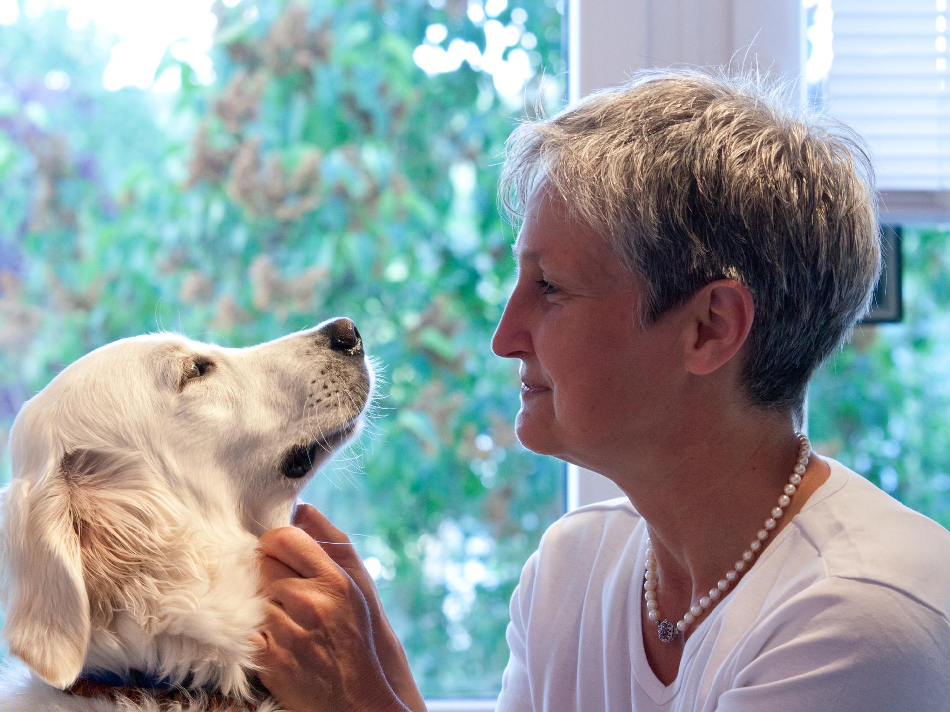 Ansicht 3 von Tierarztpraxis Susanne Konschewski