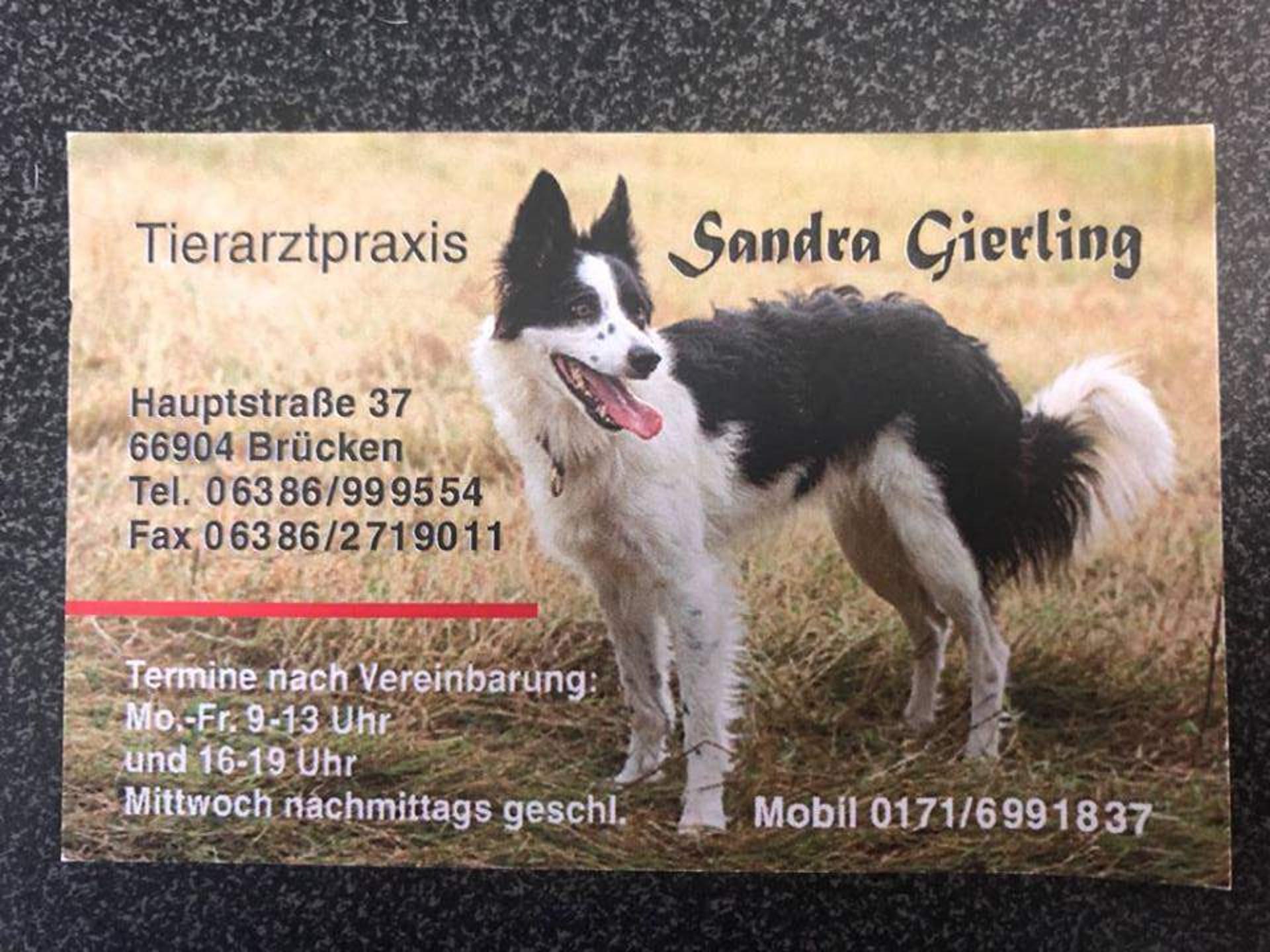 Ansicht 1 von Sandra Gierling Tierärztin