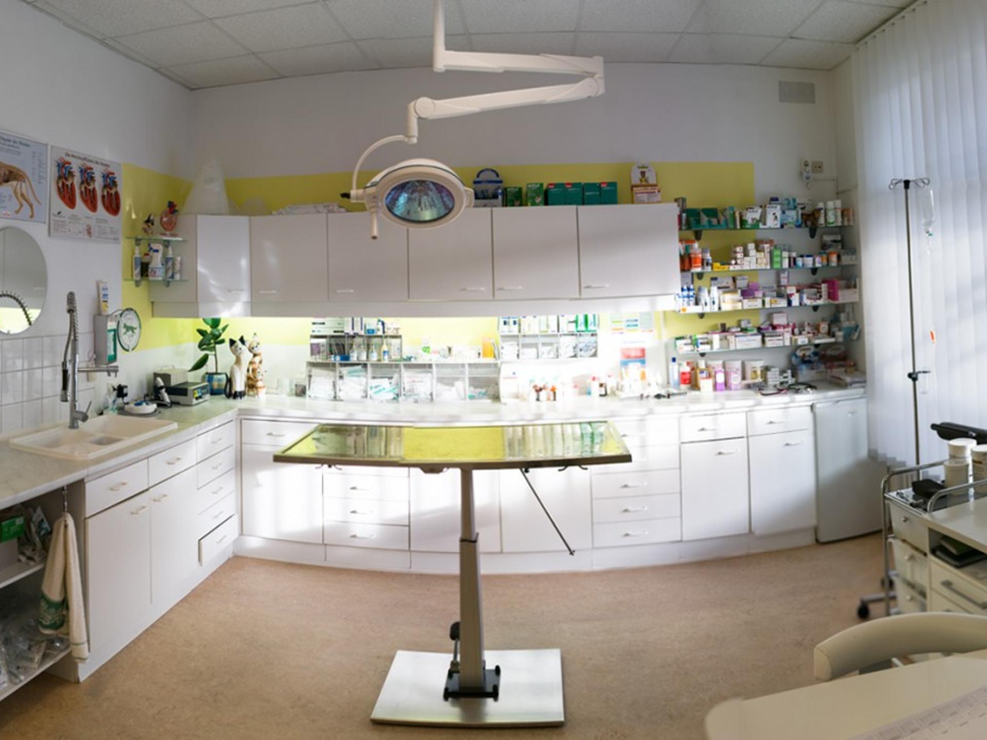 Ansicht 5 von Tierärzteteam Hansavet GmbH.