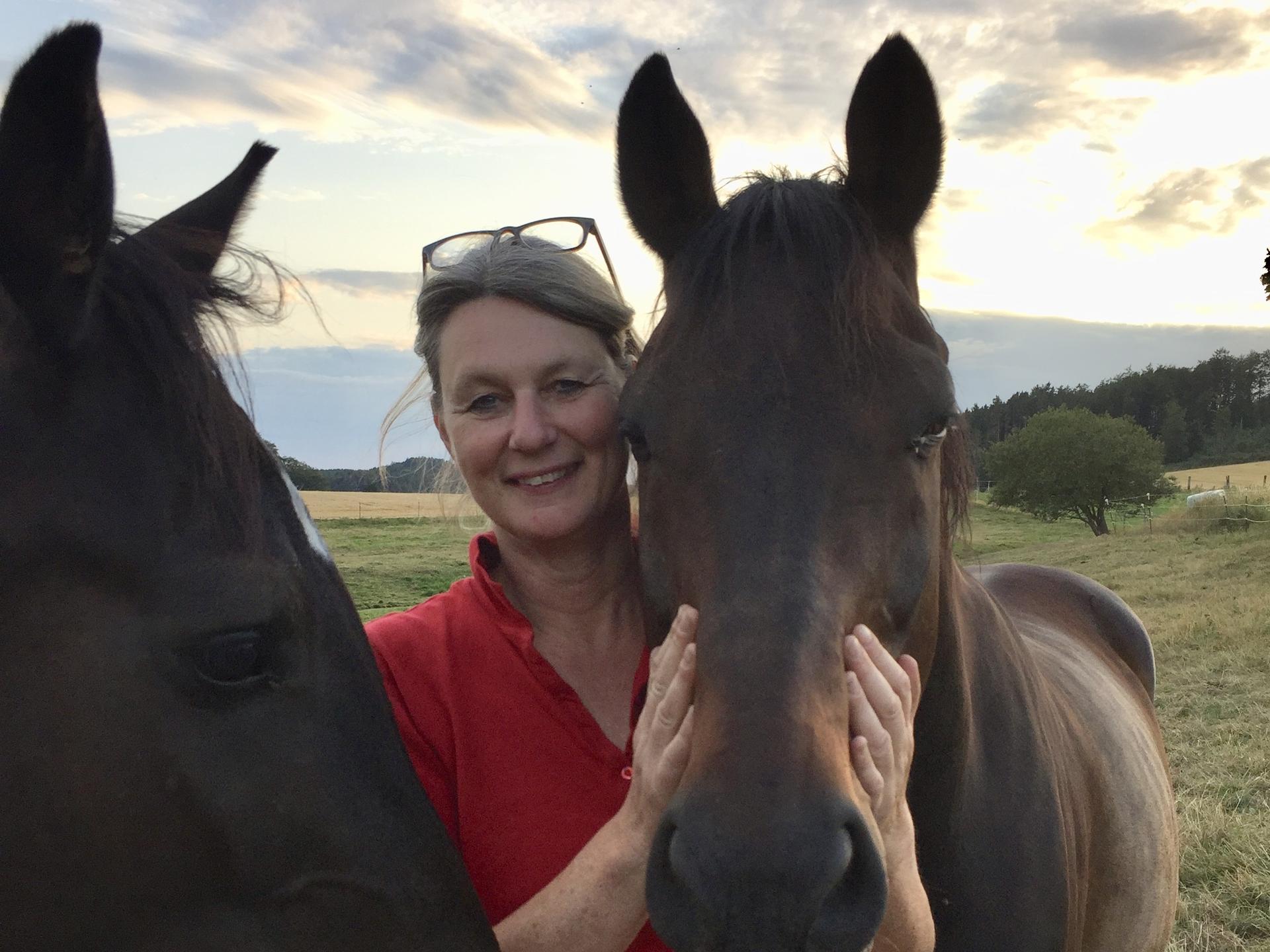 Ansicht 1 von Dr. med. vet. Gabriele Kisters, ambulante Pferdepraxis