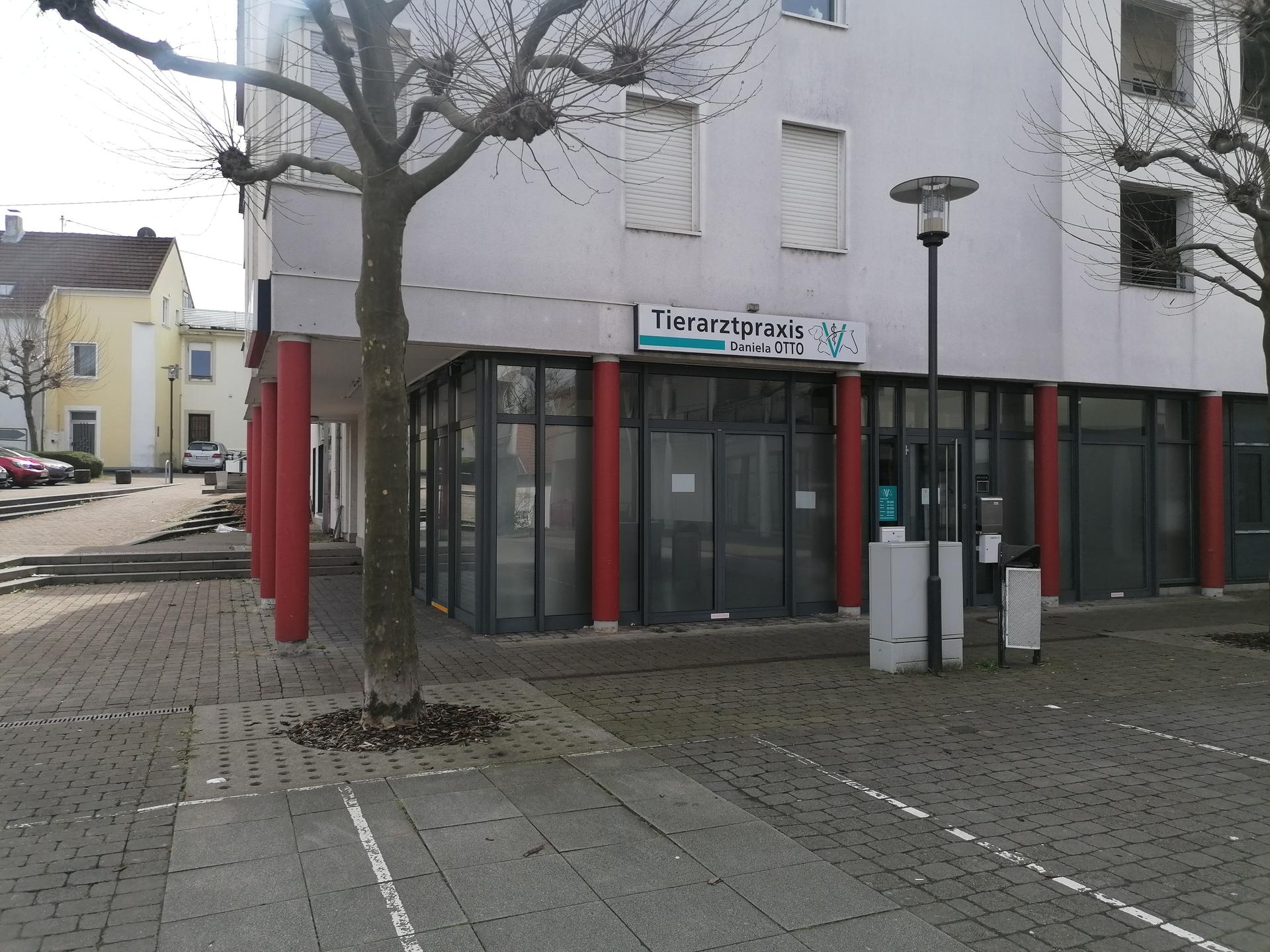 Ansicht 1 von Tierarztpraxis Otto