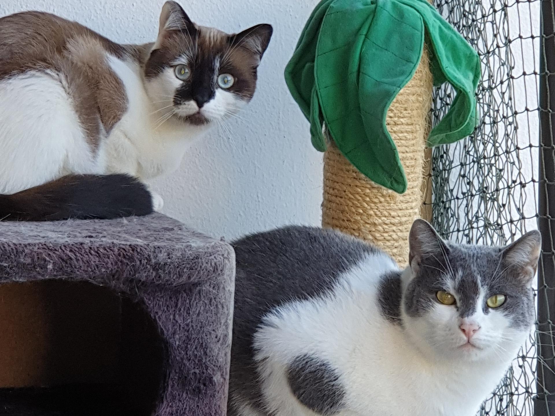 Ansicht 2 von Tierarztpraxis Otto