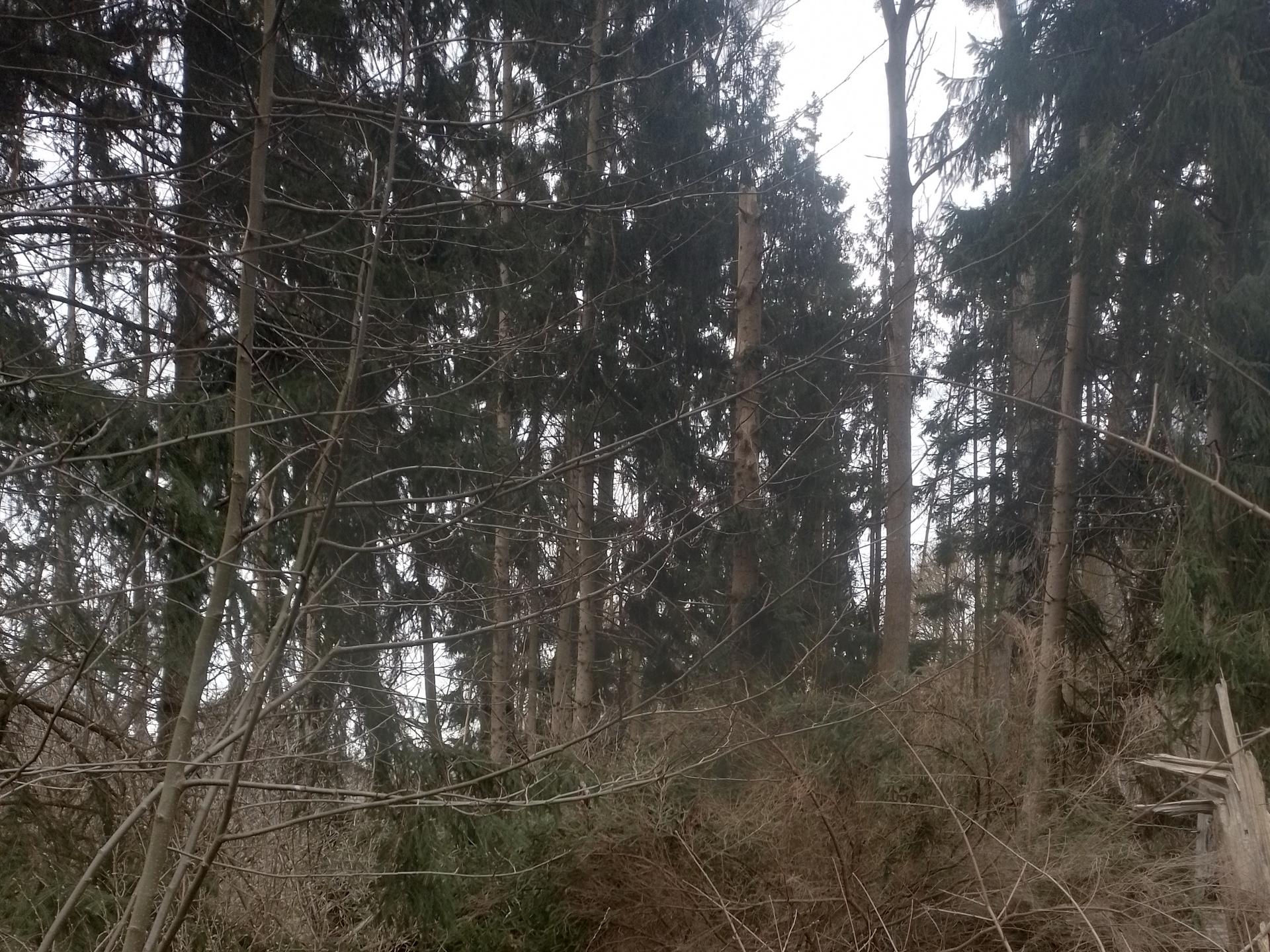 View 1 of Dr. med. vet. Jutta Freudenfeld-Waid
