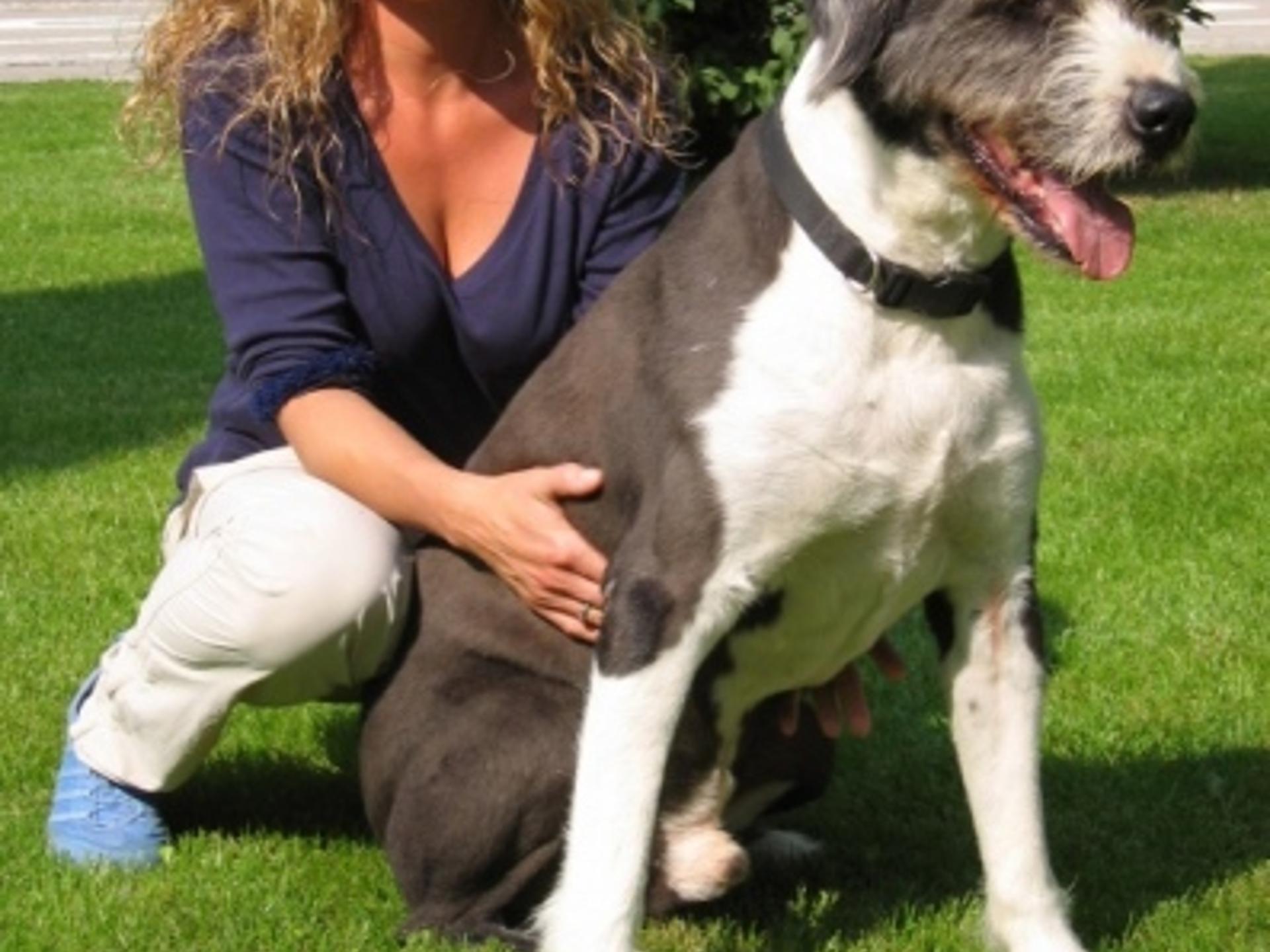 Ansicht 2 von Dr. med. vet. Tina Hölscher, Tierarzt