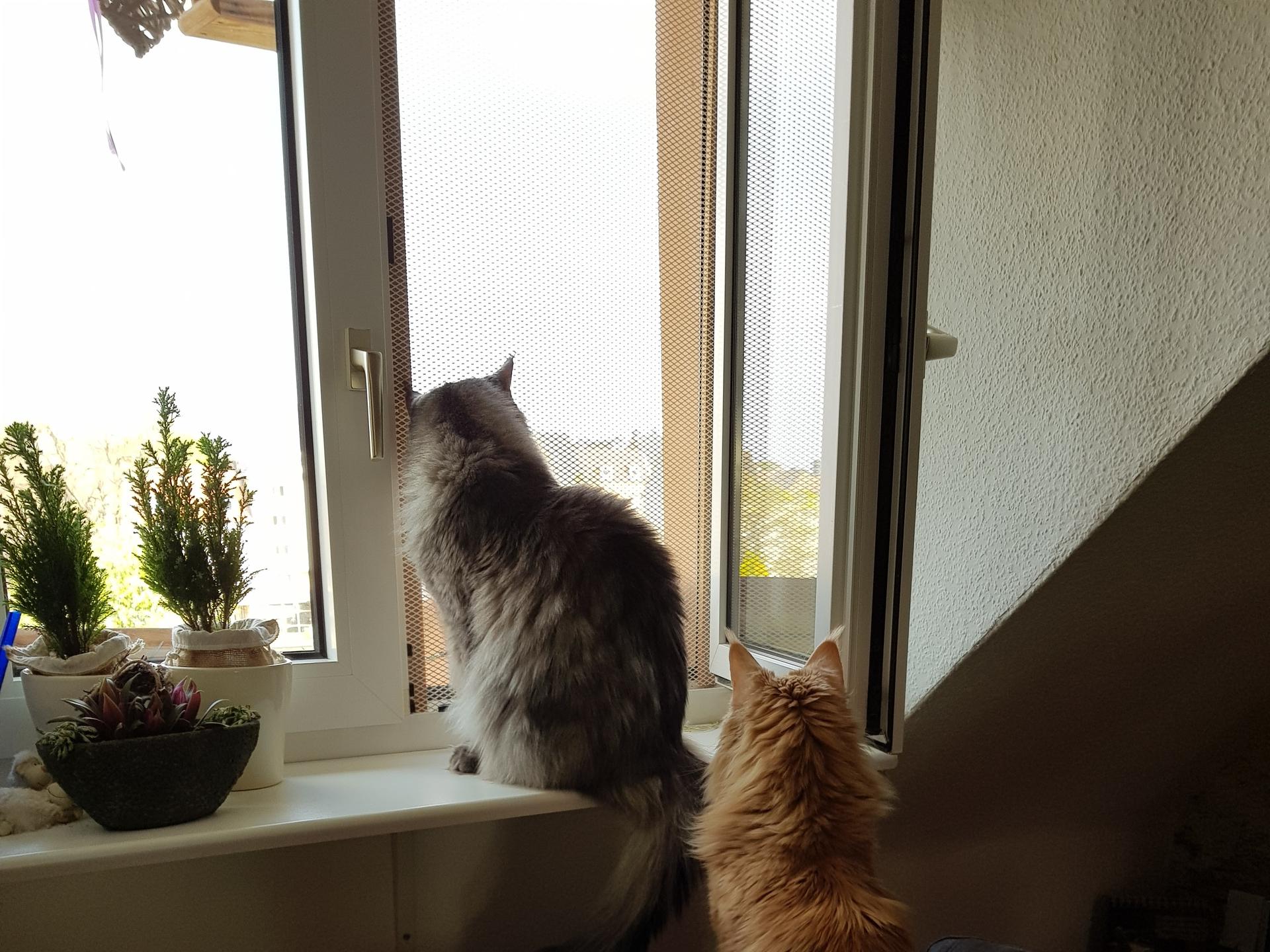 View 4 of Dr. med. vet. Nicola von Ruedorffer