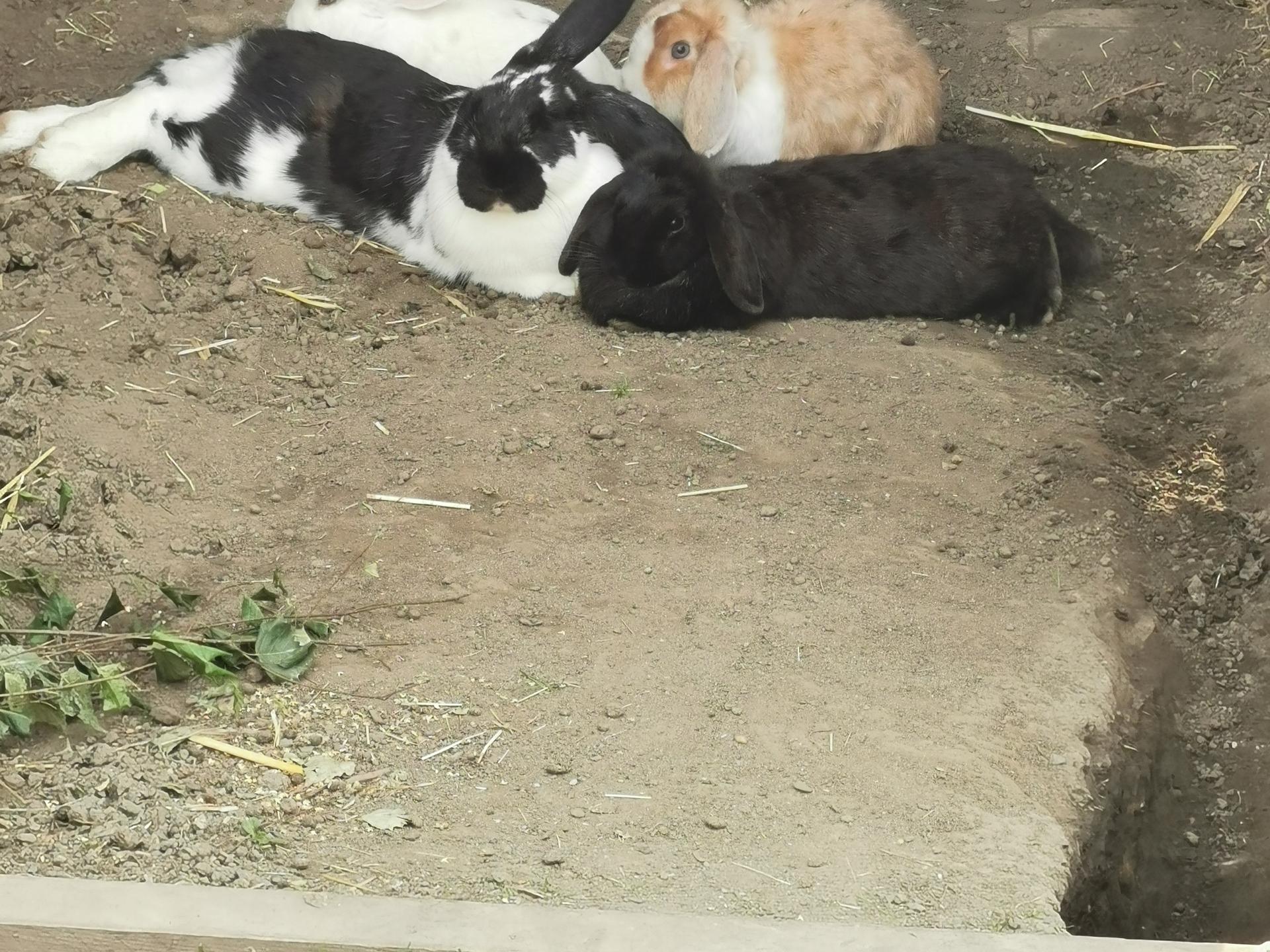 Ansicht 3 von Tierarztpraxis Schweigart