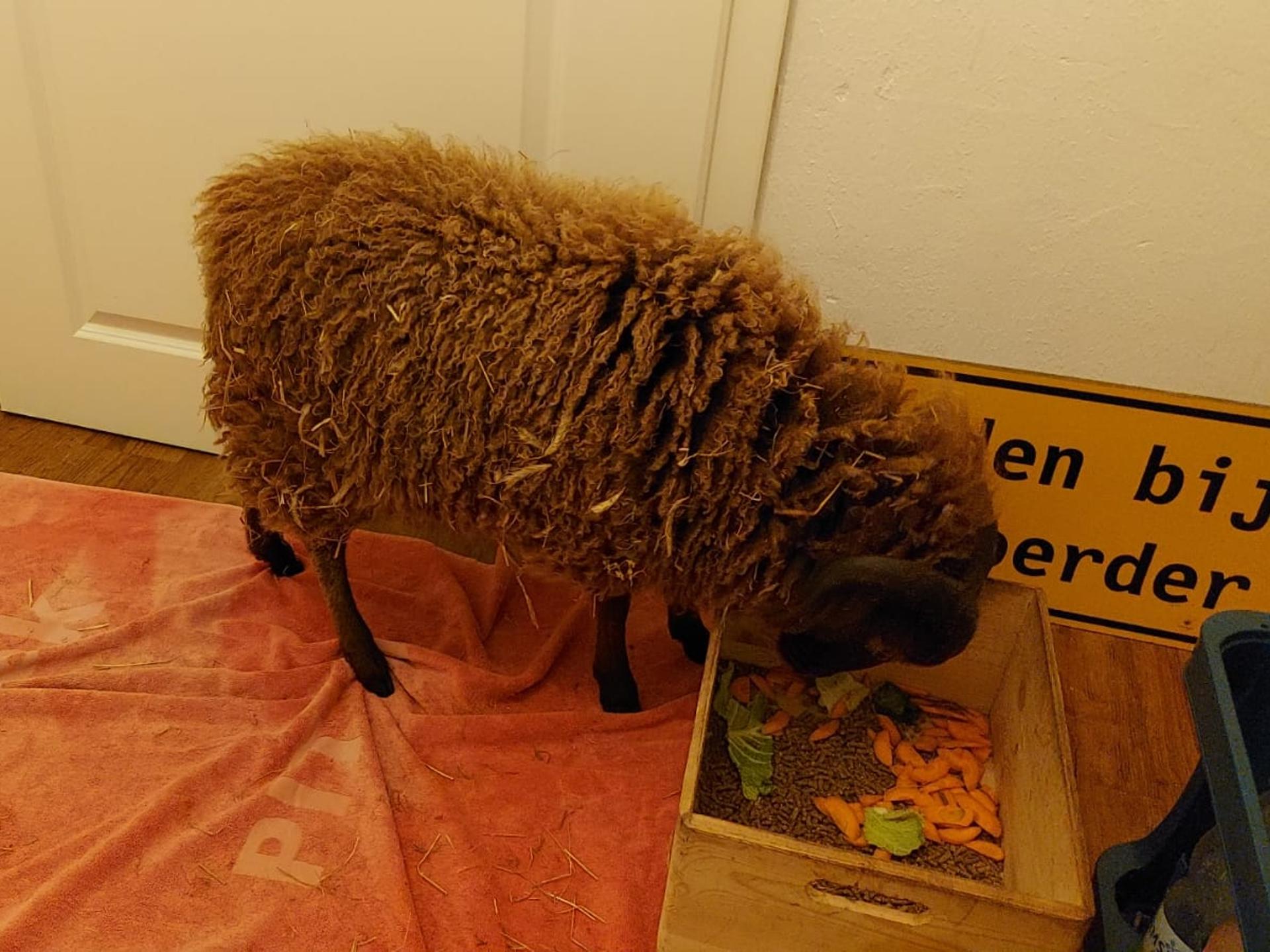 Ansicht 2 von Veterinärgemeinschaft Papenburg (Großtierpraxis)