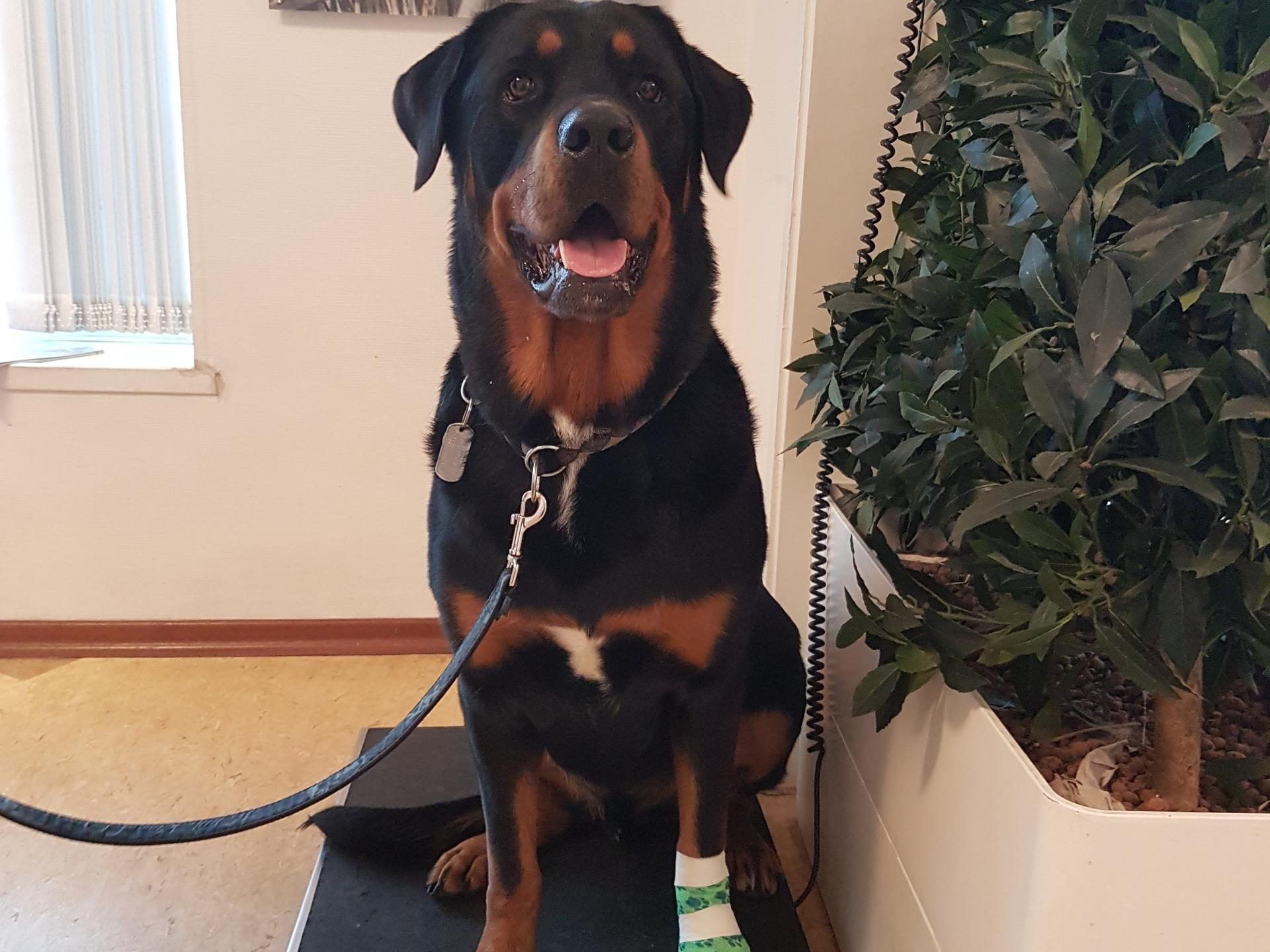 Ansicht 2 von Tierklinik im Alstertal
