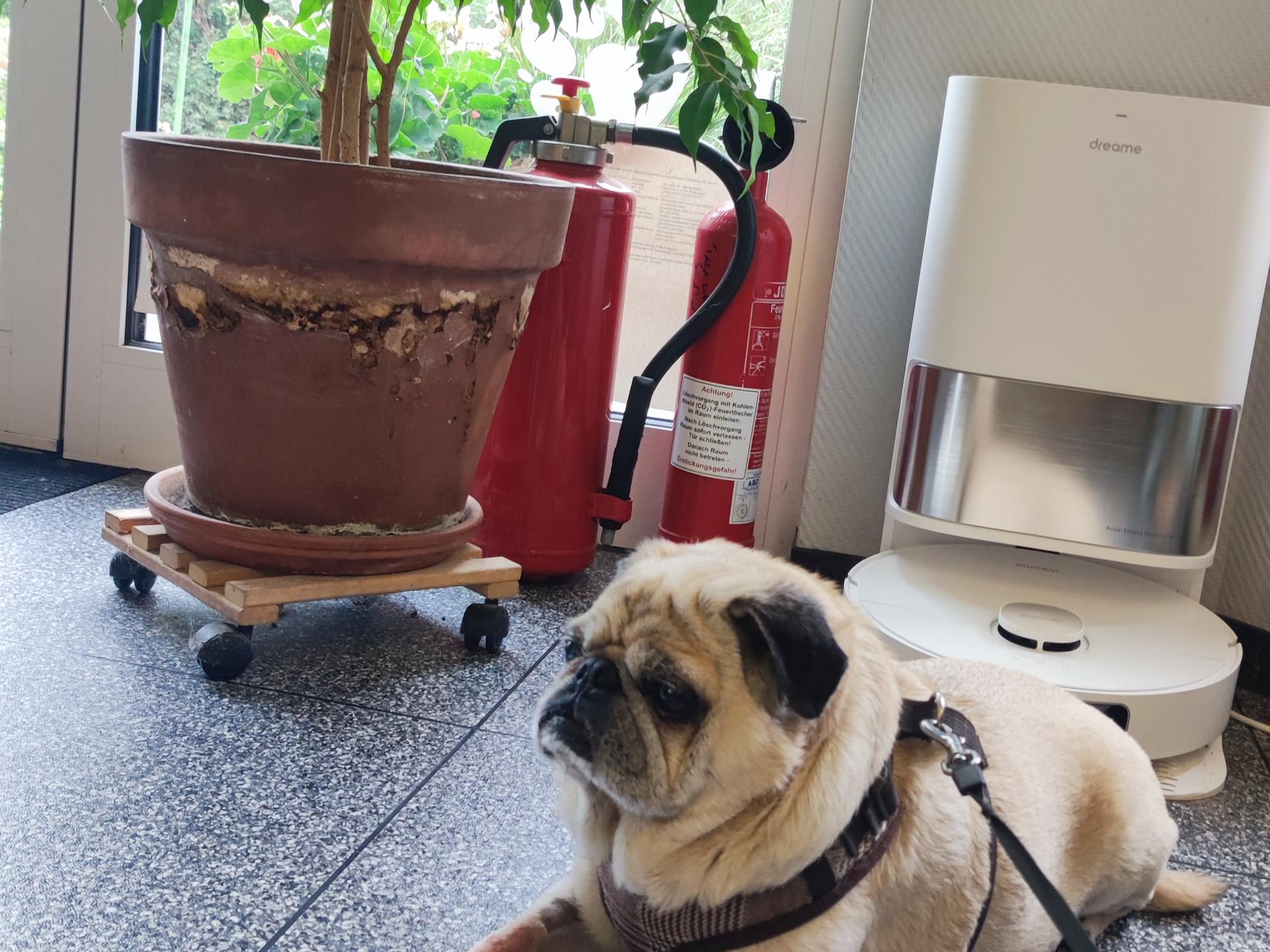 Ansicht 1 von Dr.med.vet. Annette Grüßel