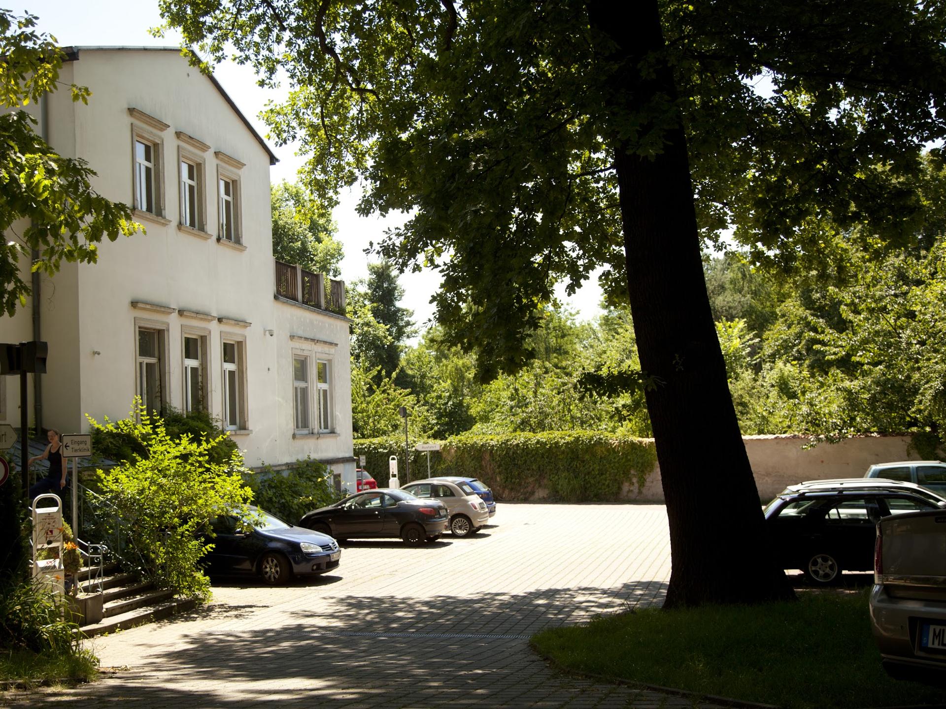 Ansicht 1 von Avetia Dresden