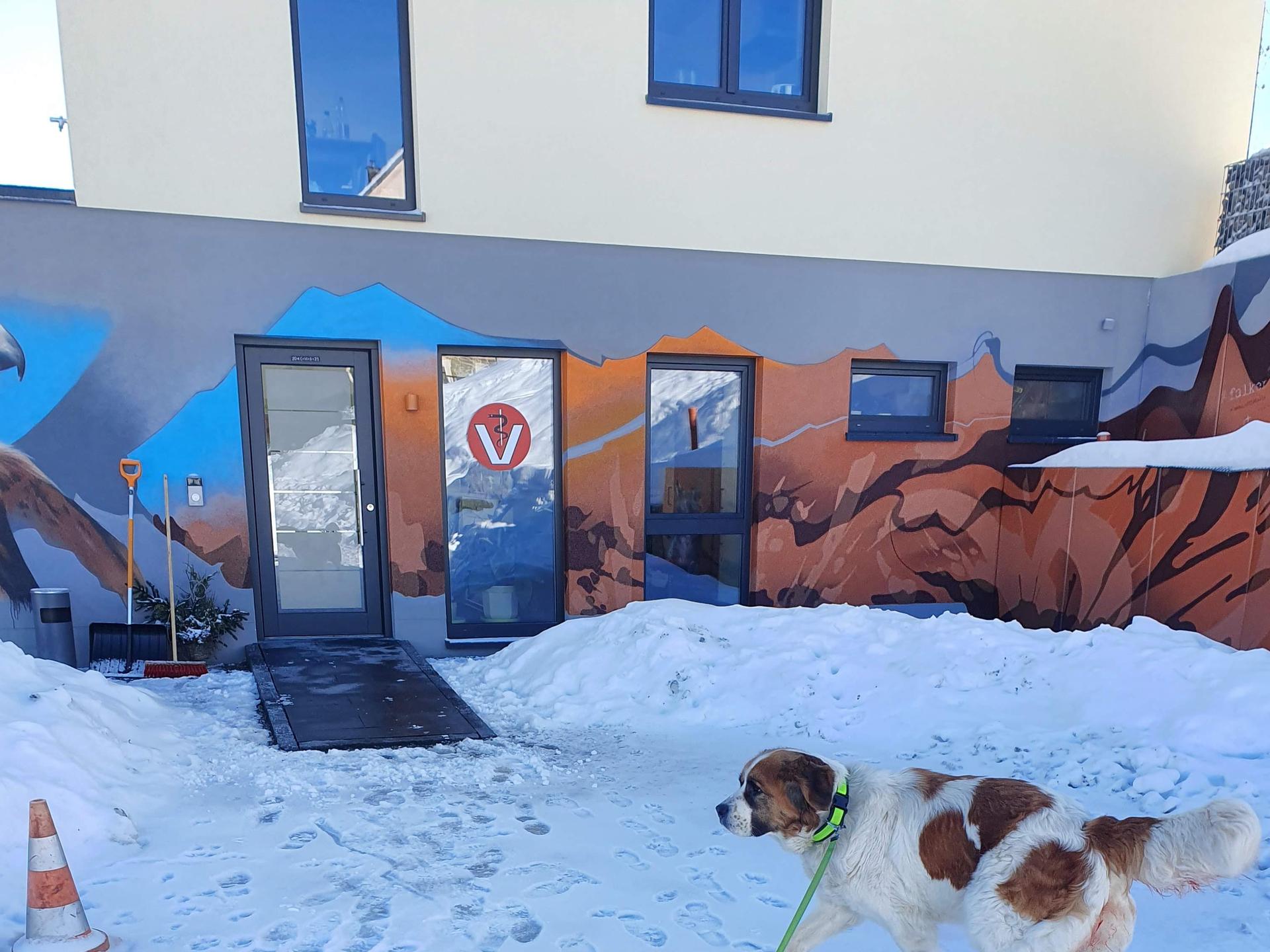 Ansicht 3 von Tierarztpraxis Falkenhorst in Klingenthal (Vogtland)