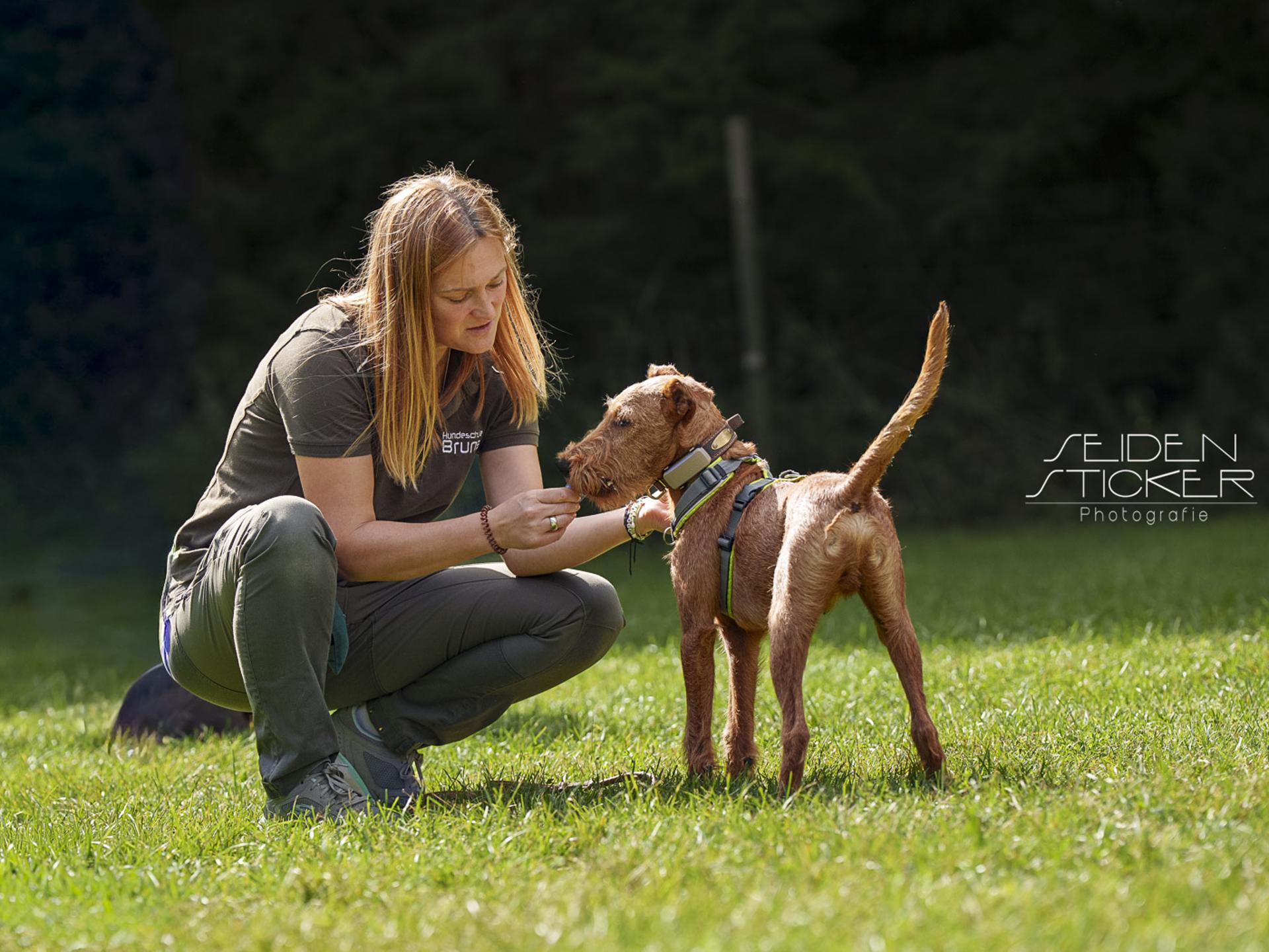 View 1 of Hundeschule & Praxis für Verhaltensmedizin Dr. Sandra Bruns