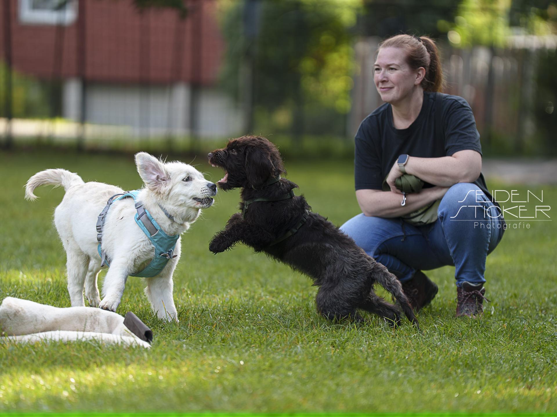 View 3 of Hundeschule & Praxis für Verhaltensmedizin Dr. Sandra Bruns