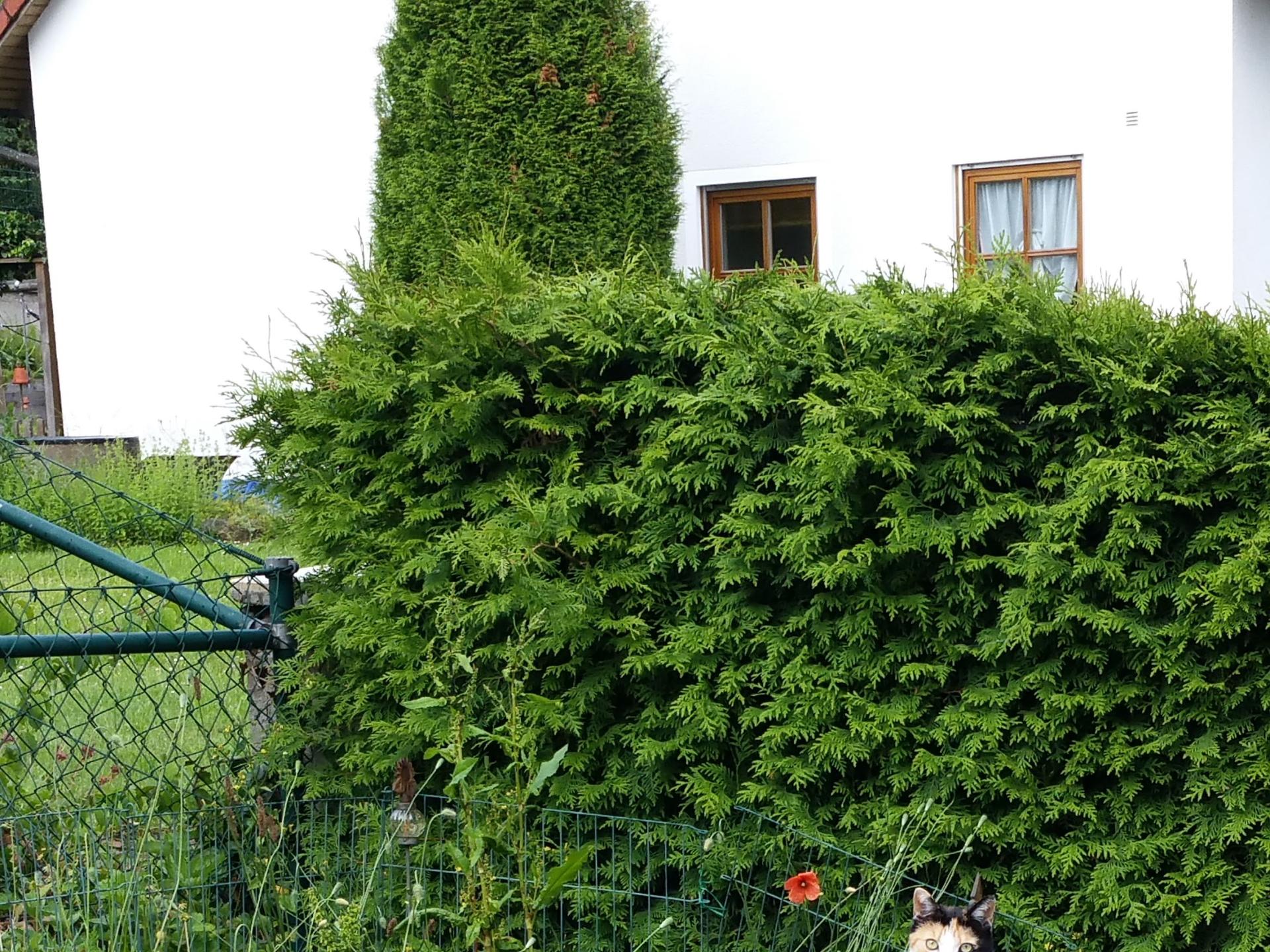Ansicht 2 von Dr.med.vet. Anni Fütterer Tierärztin