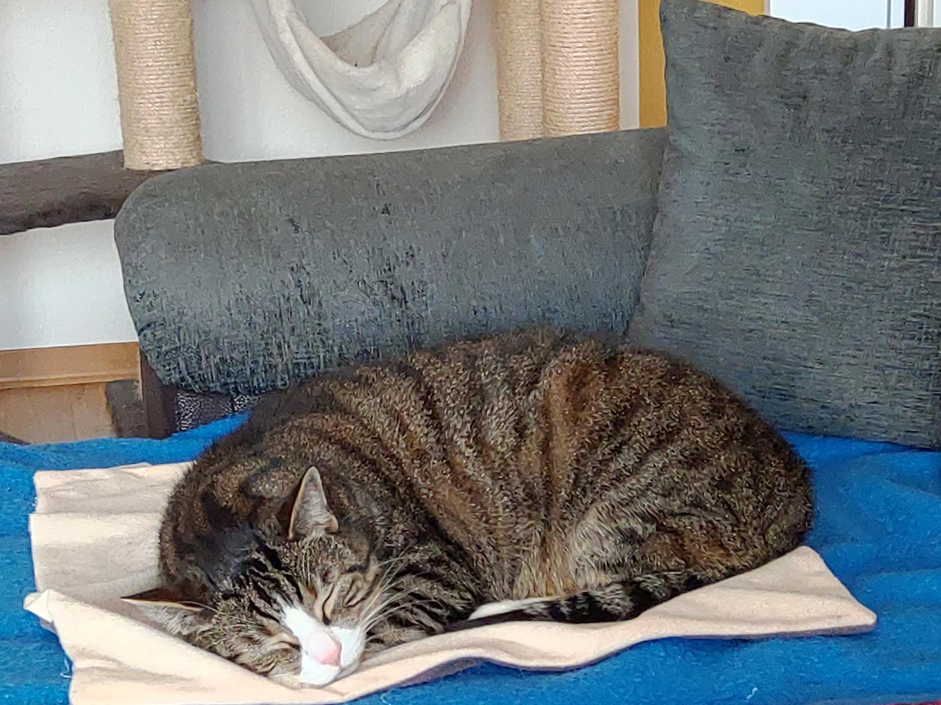 Ansicht 1 von Uta Schmitt Tierärztin