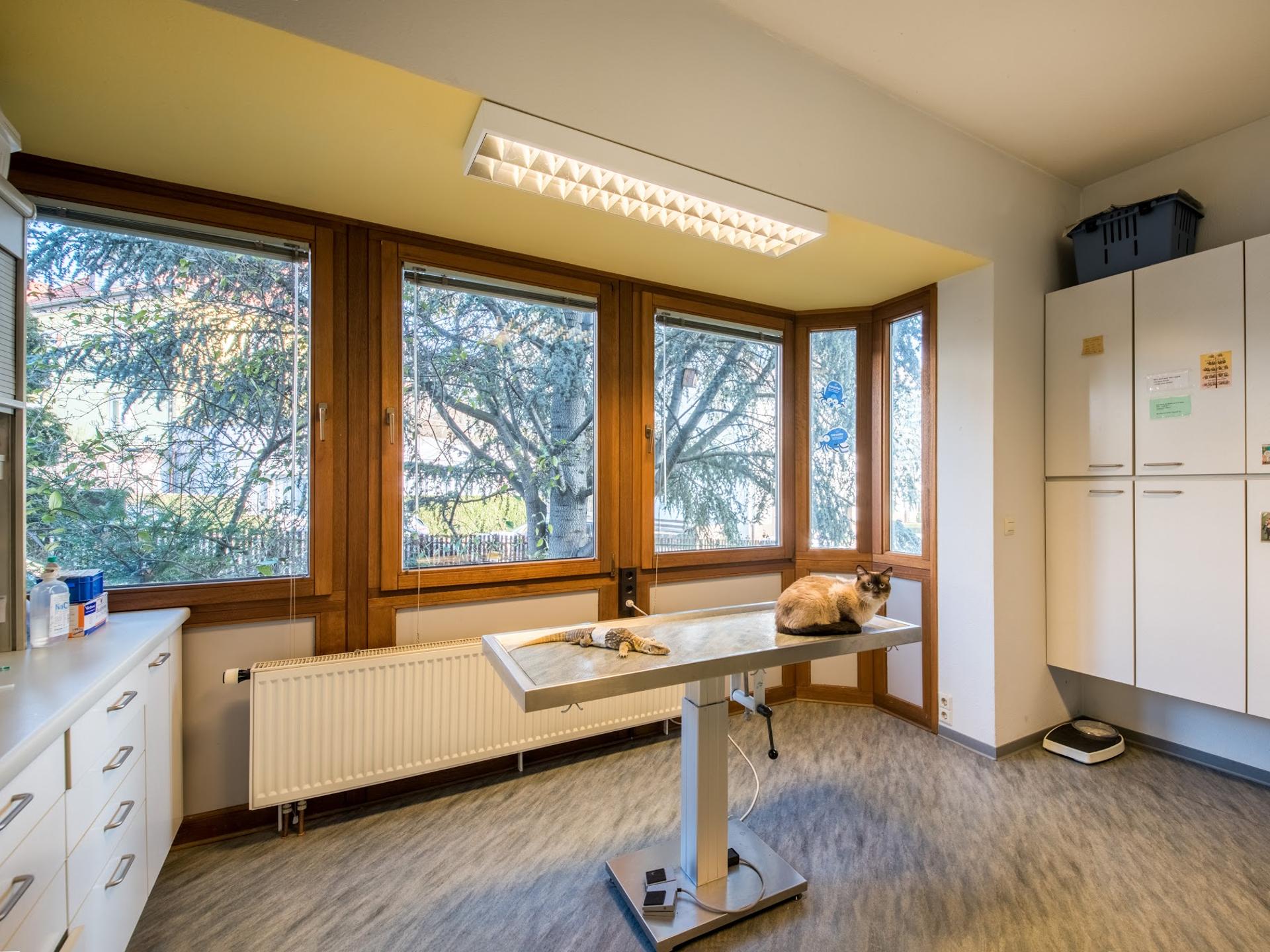 Ansicht 1 von Dr. Häfner: Praxis f. übl. Kleintiere, Fachpr. f. Reptilien (Z'Bez) Nur mit TERMIN! Alle Anfragen nur telefonisch