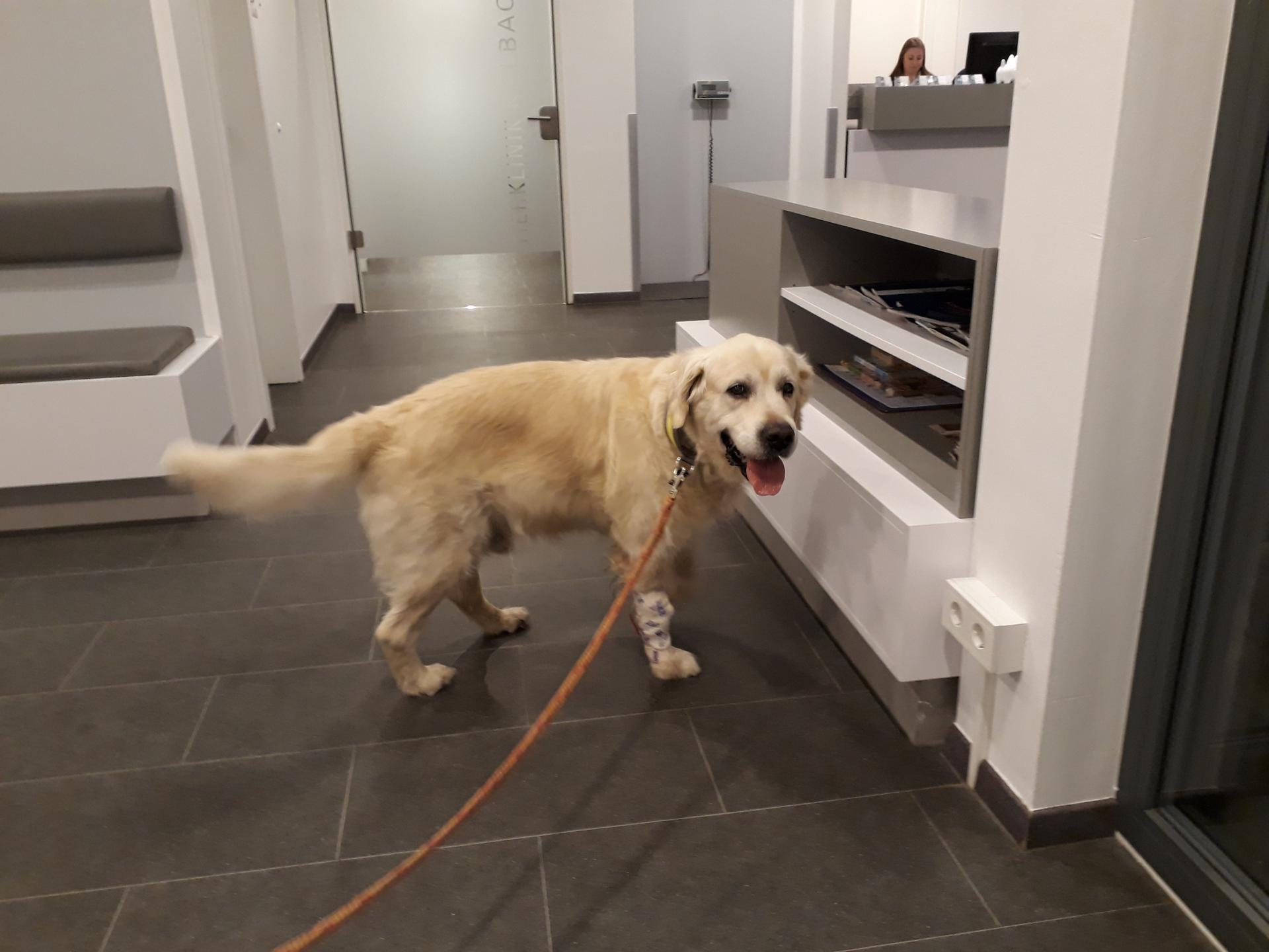 Ansicht 3 von Tierklinik Kalbach - Fachklinik für Kleintiere Frankfurt