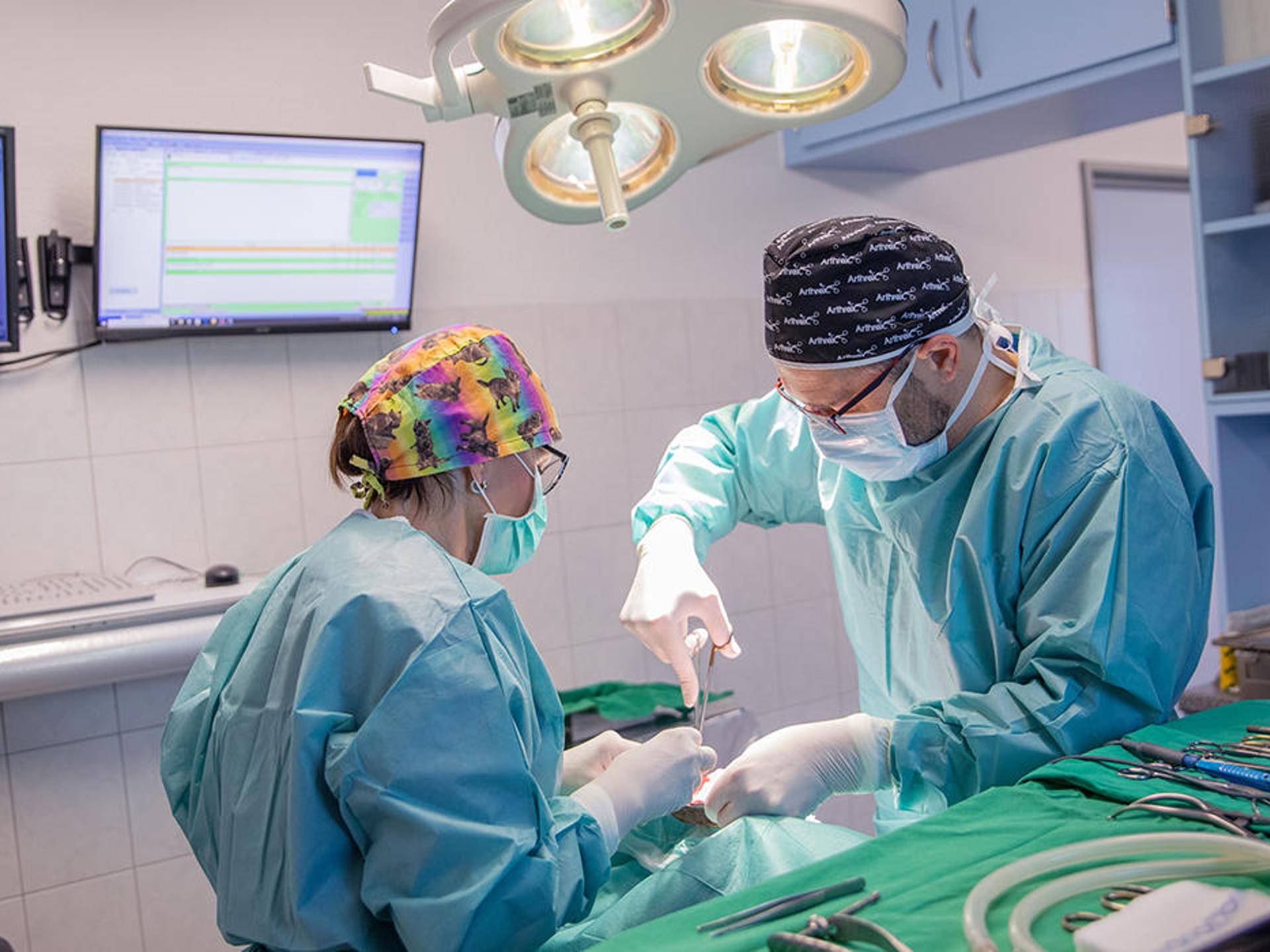 Ansicht 1 von Kleintierzentrum am Schmelzbach Fachpraxis für Kleintiermedizin