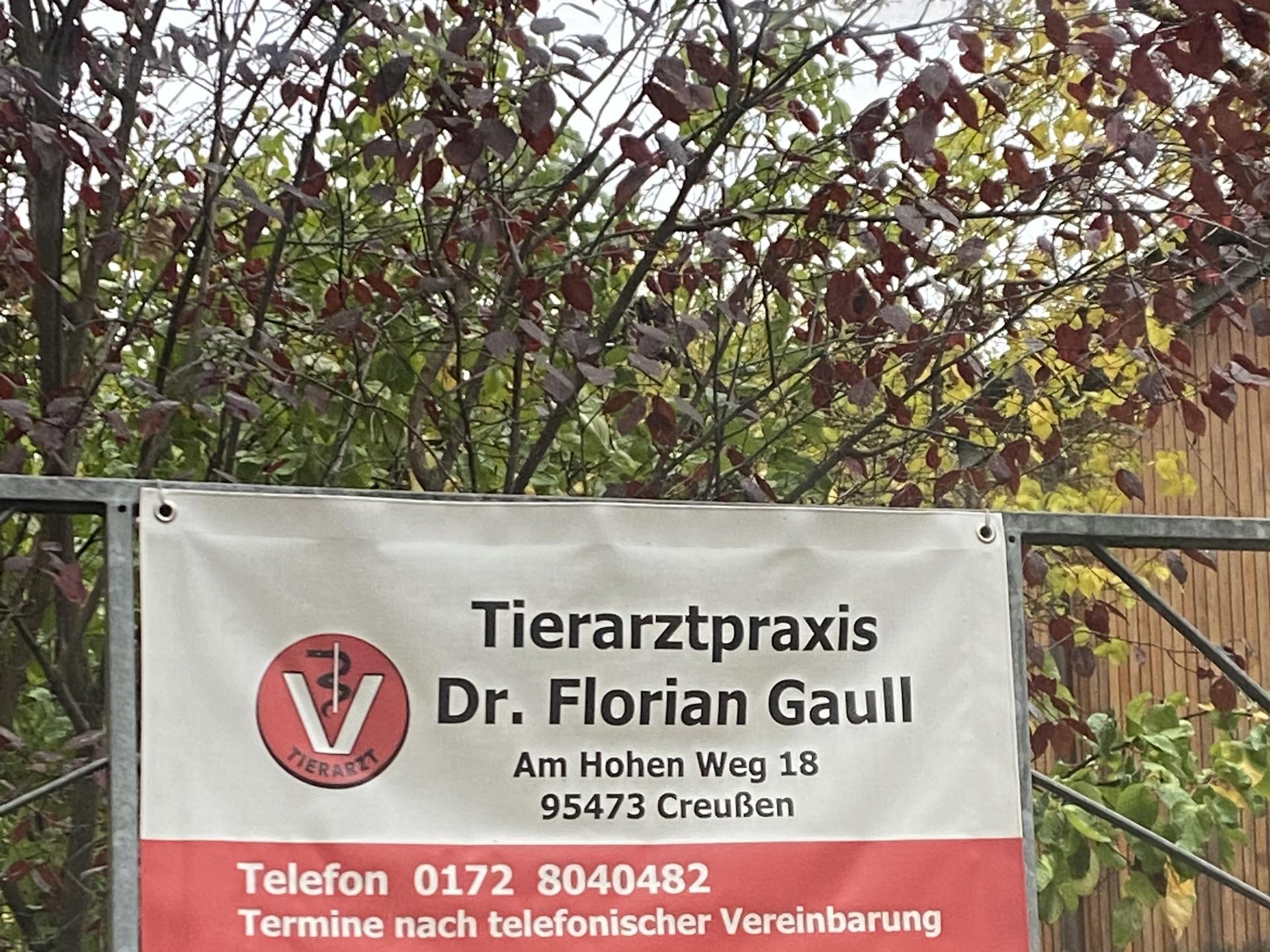 View 2 of Dr. Florian Gaull