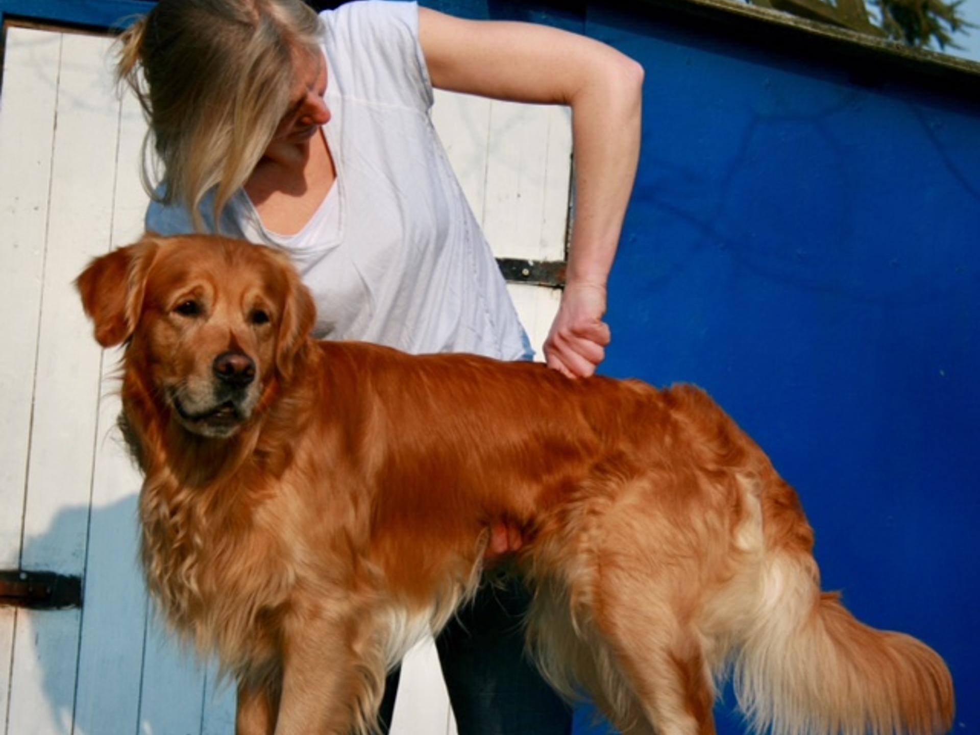 Ansicht 1 von Daniela Heinemann - Chiropraktik für Hunde
