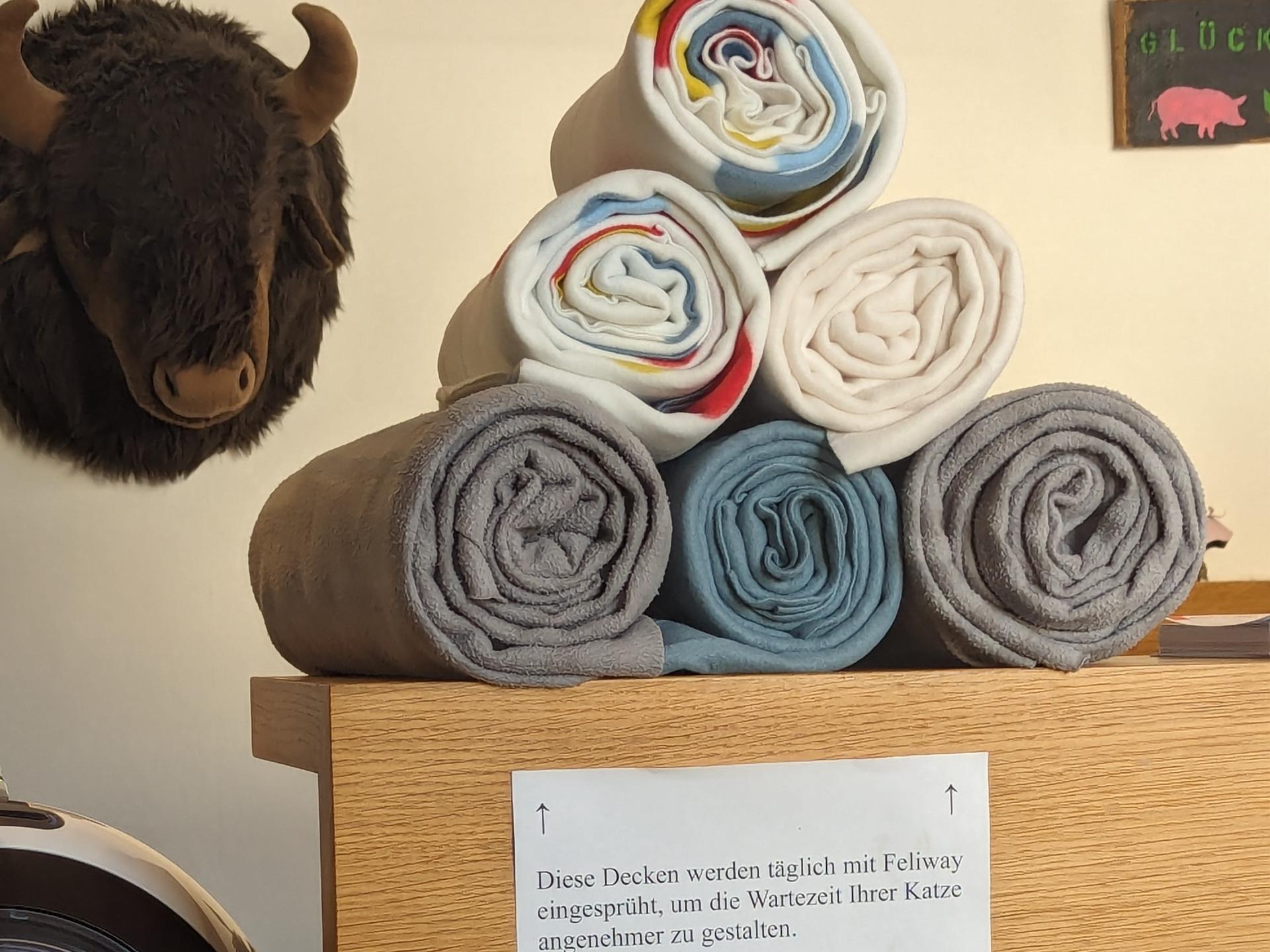 Ansicht 3 von Carolin Neidlinger