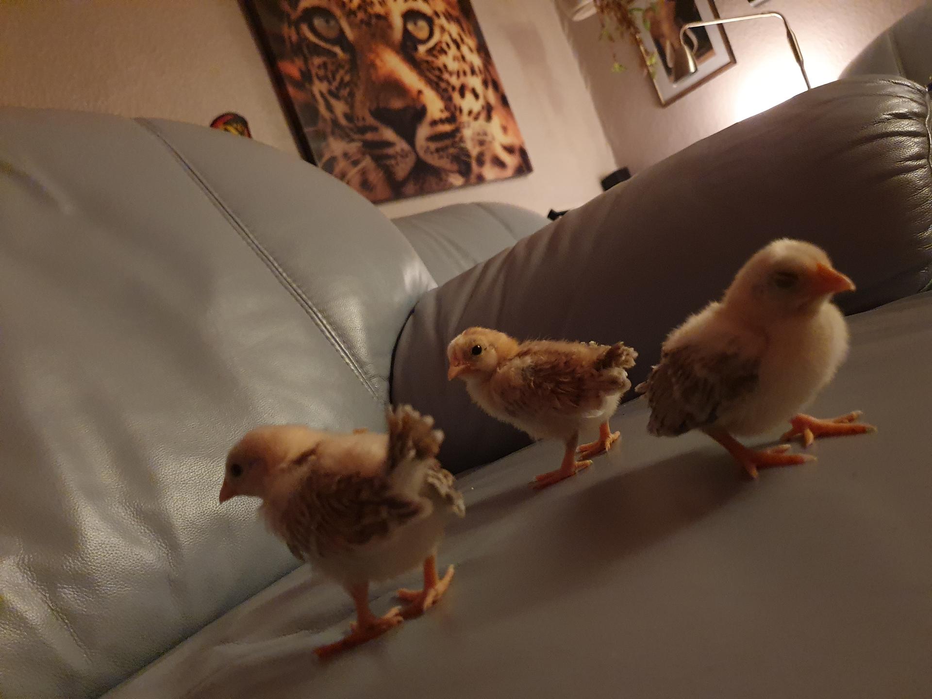 Ansicht 3 von Holger Dölle Tierarzt