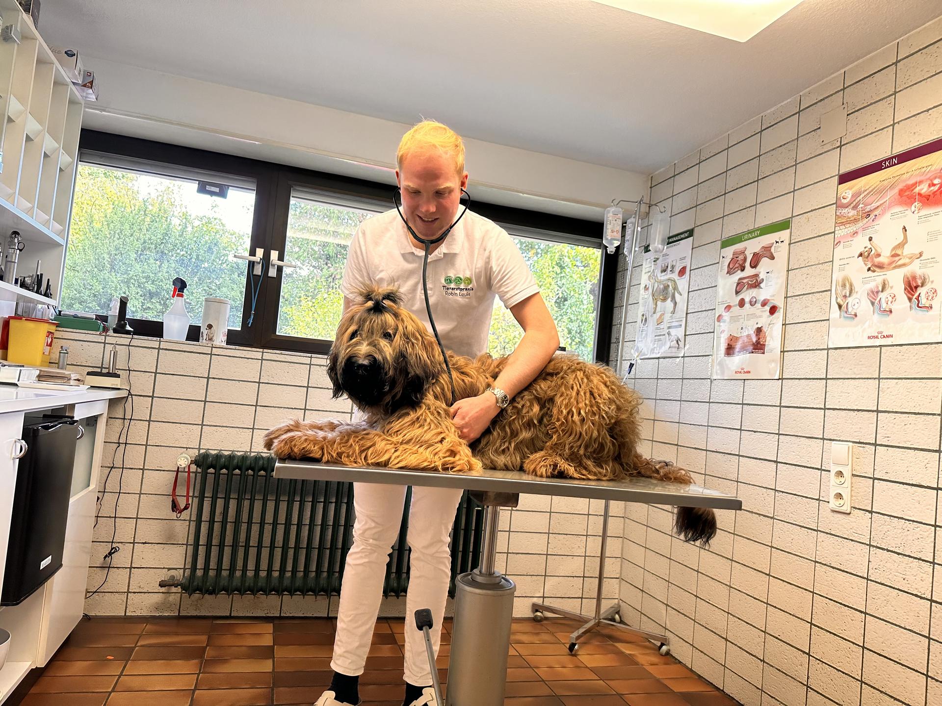 Ansicht 2 von Tierarztpraxis Robin Louis
