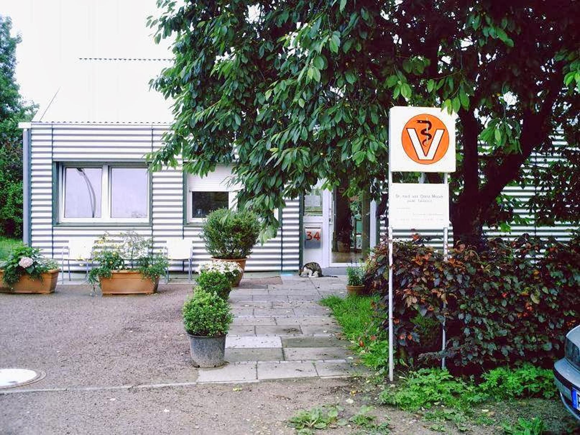 Ansicht 1 von Dr. Dörte Maack Tierärztin