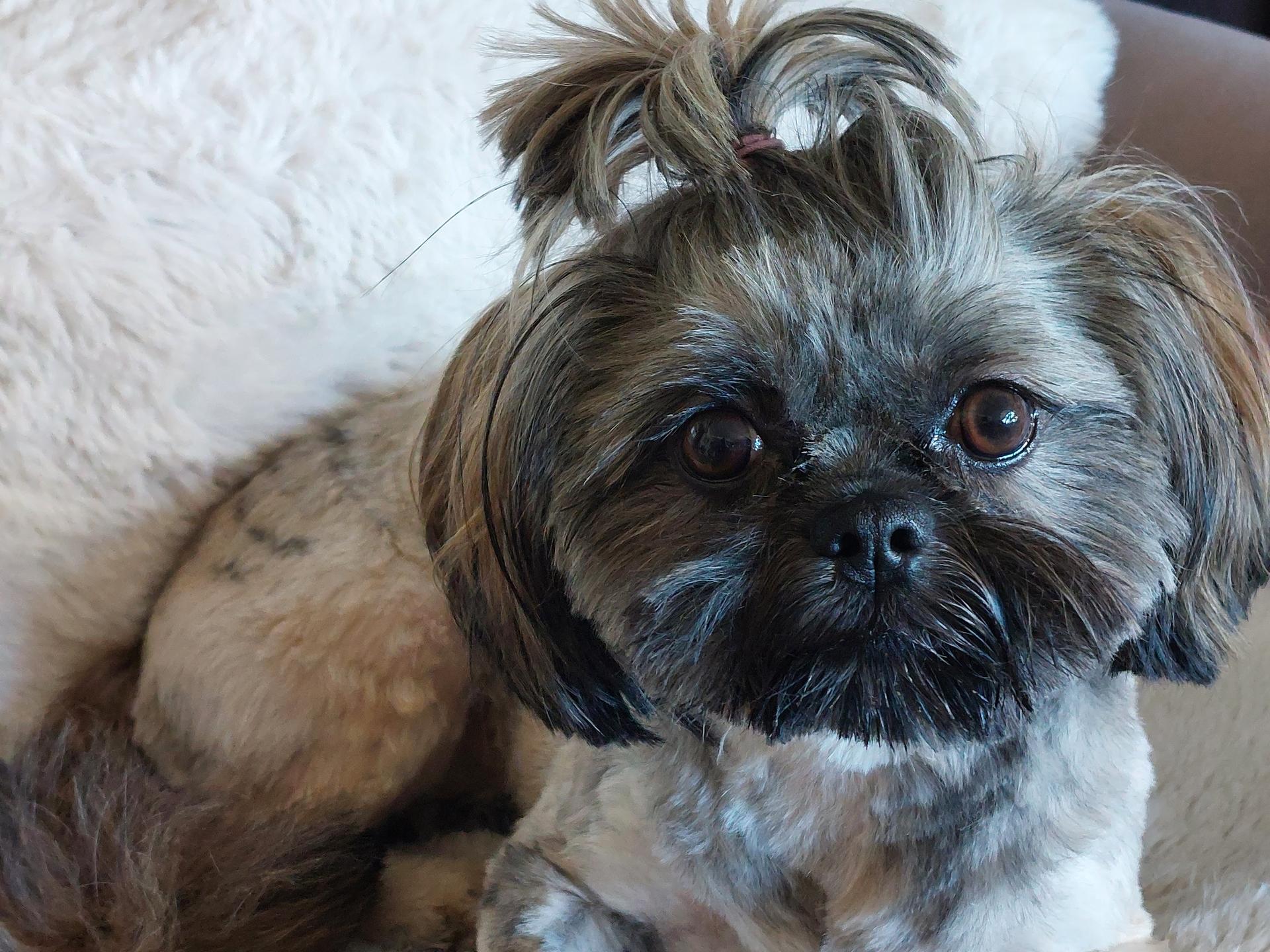 Ansicht 3 von Tierarztpraxis Dr. Elke Killing
