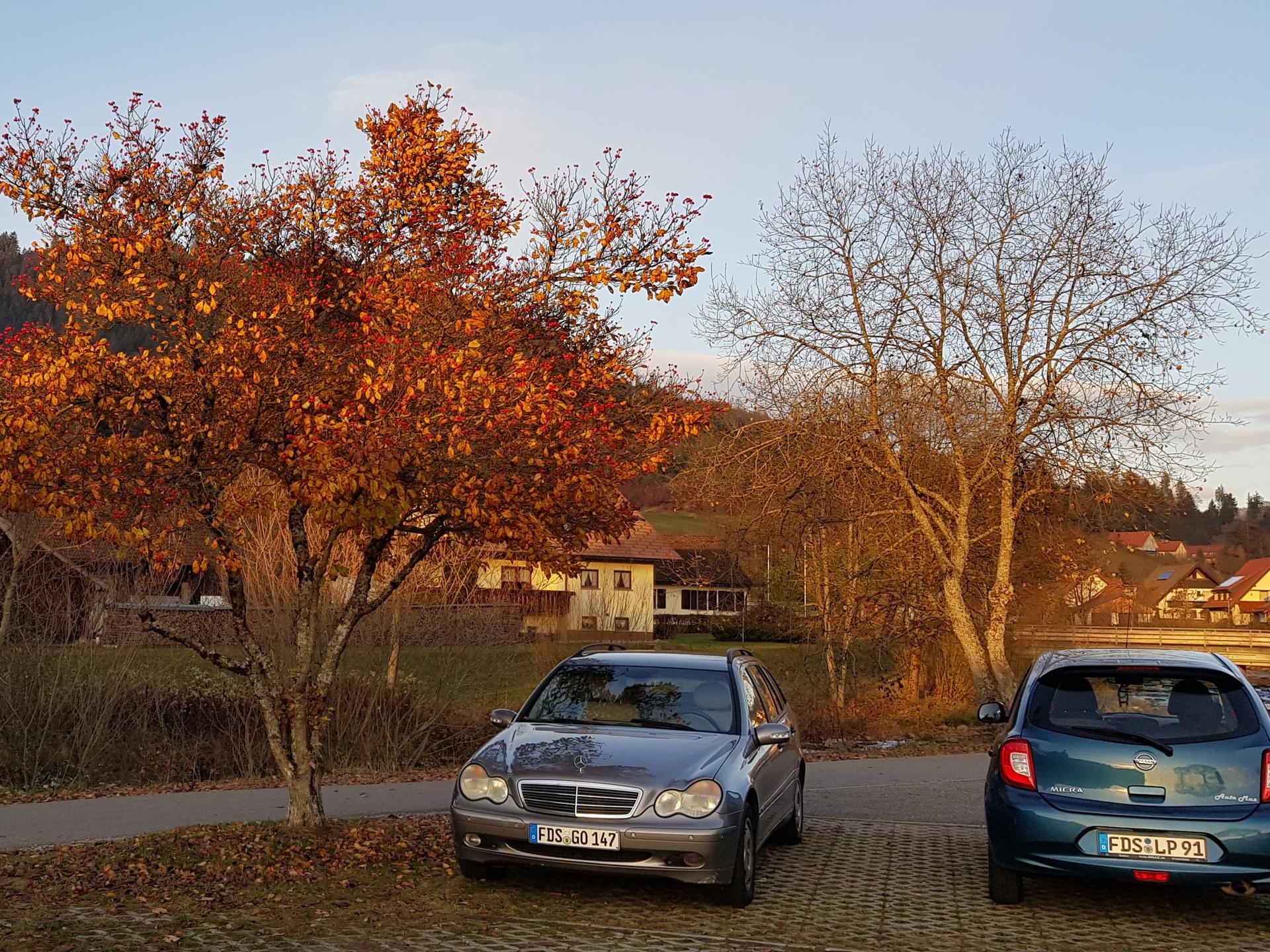 View 5 of Kleintierzentrum Mitteltal