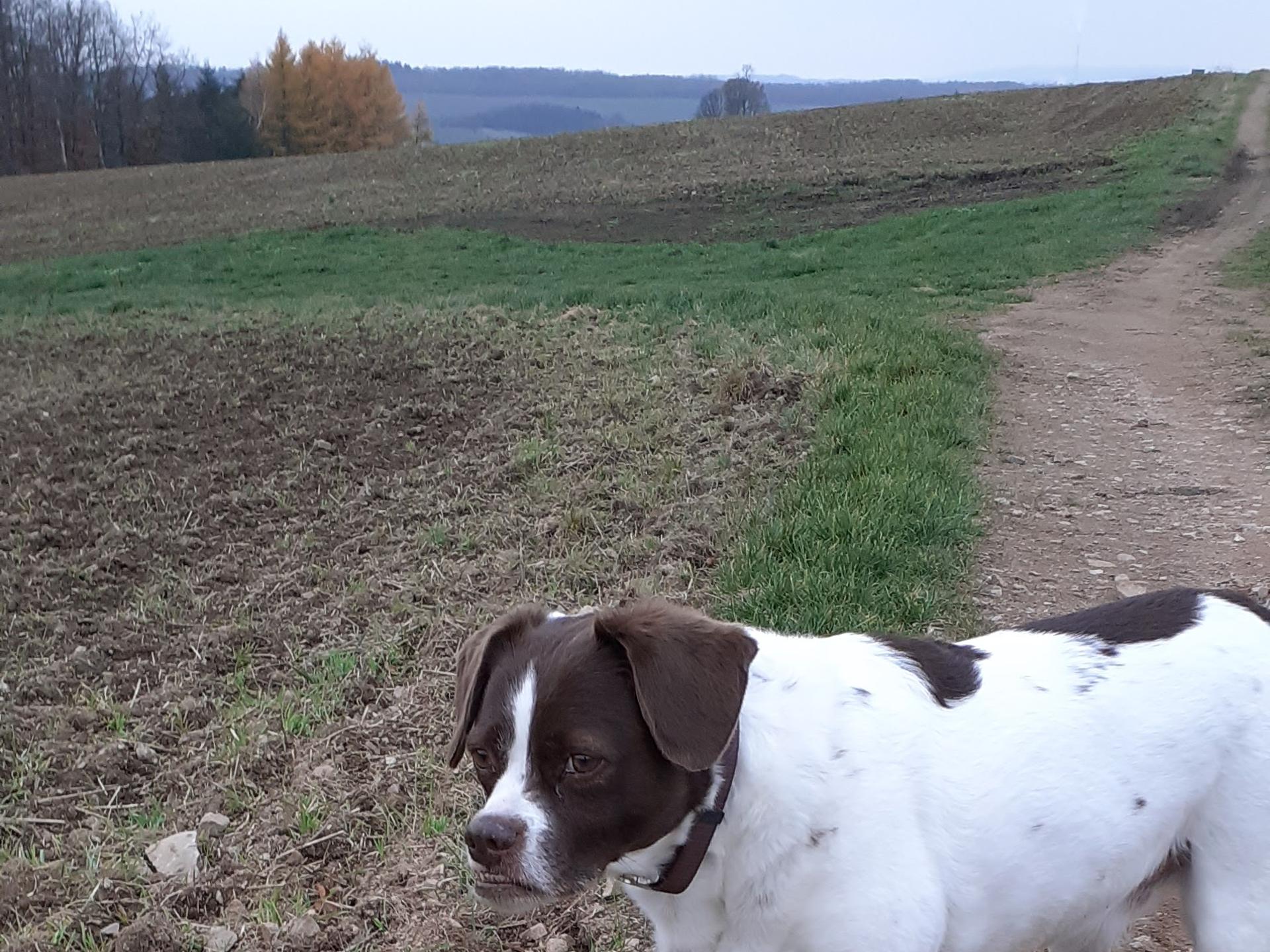 Ansicht 1 von Tierarzt Hagen Simon