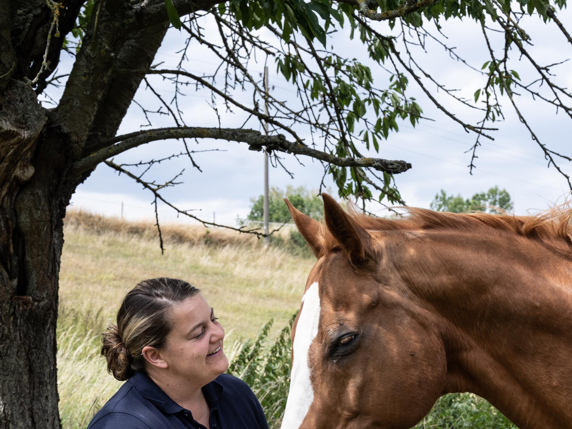 View 1 of Carina Horter Mobile Tierarztpraxis - Schwerpunkt Zahnmedizin für Pferde