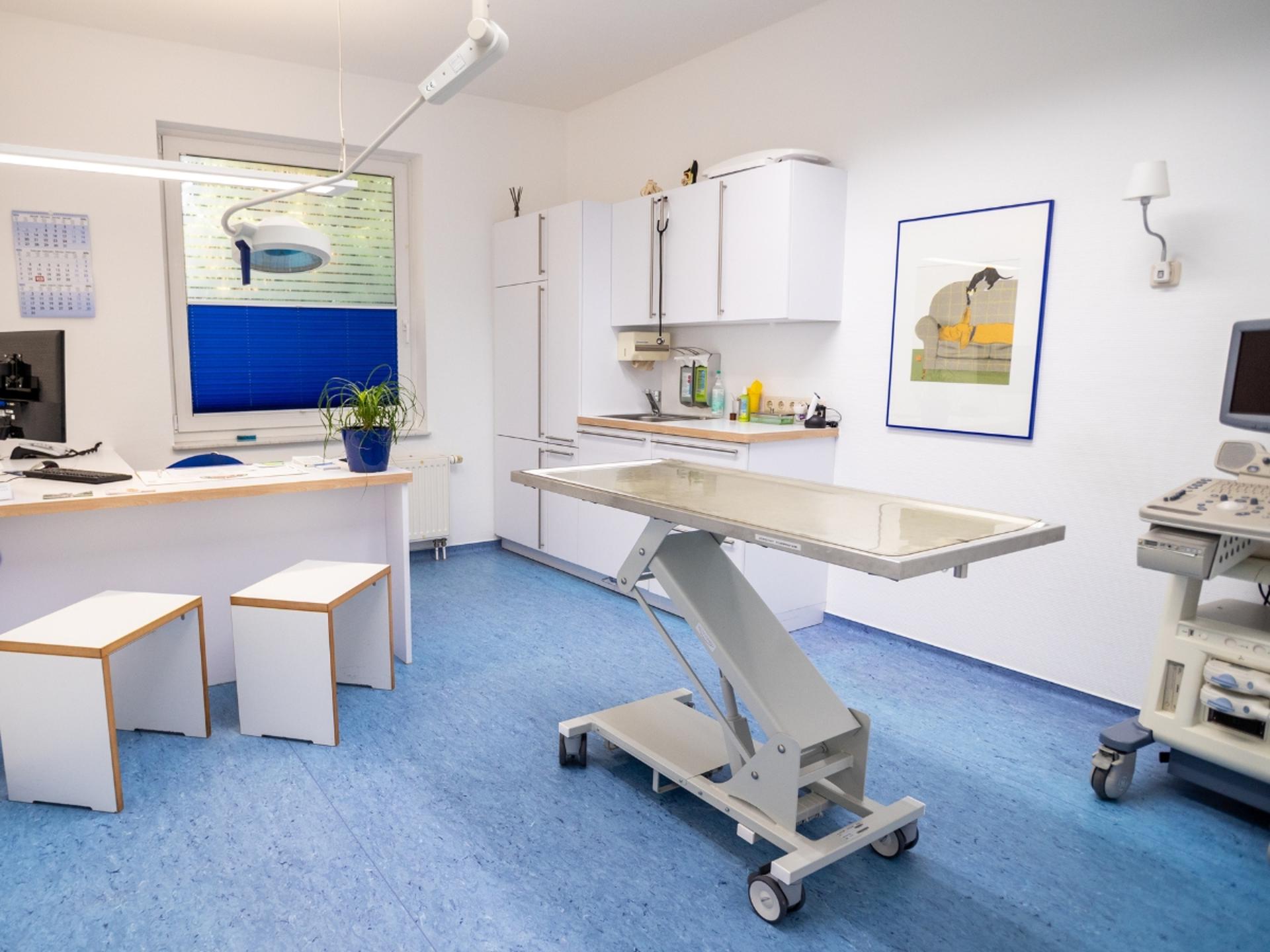 Ansicht 3 von Tierarzt Jacobi Lüneburg, Kleintierpraxis Lünevet