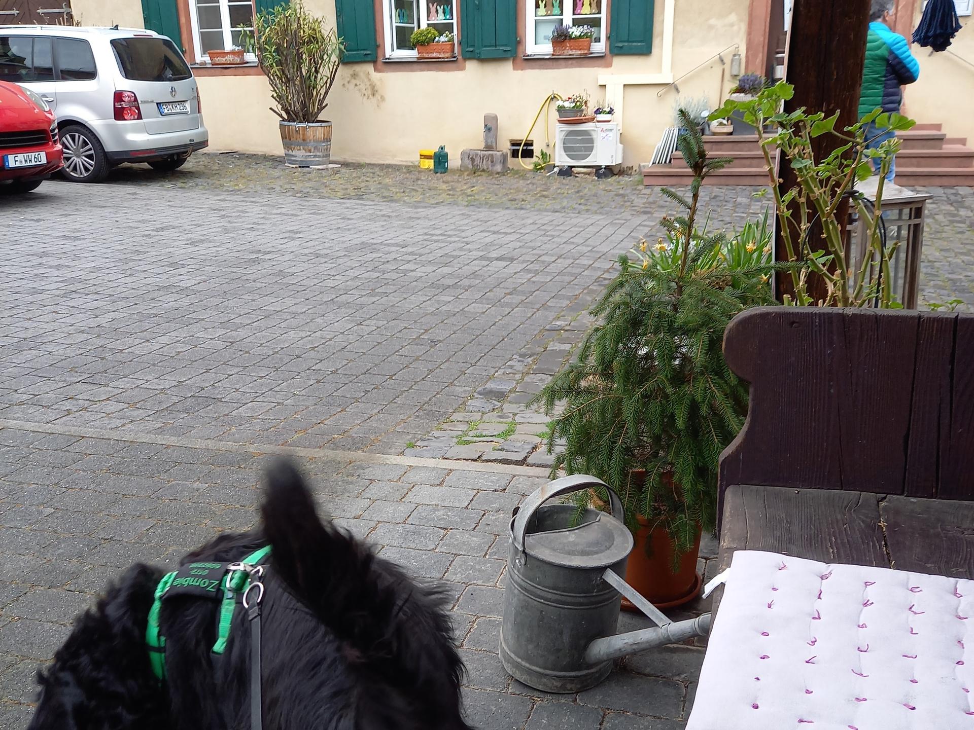 Ansicht 1 von Dr. med. vet. Ingo Schneider - Fachtierarzt für Klein-und Heimtiere