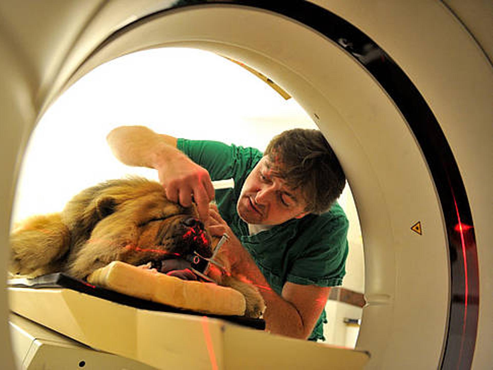 Ansicht 2 von Dr. med. vet. Mario Erler
