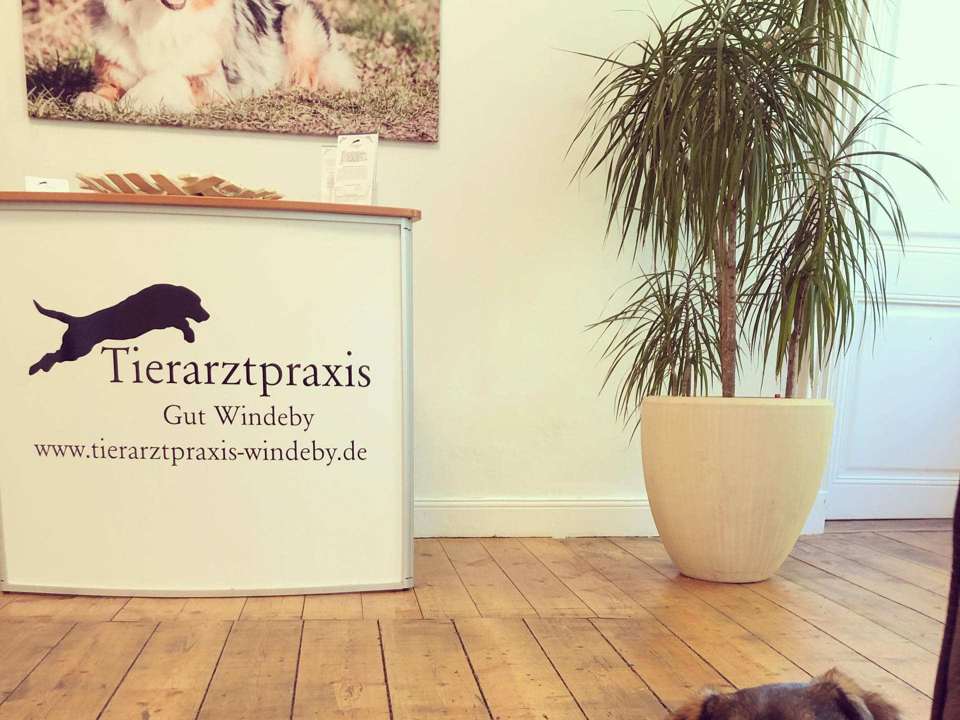 Ansicht 2 von Tierarztpraxis Gut Windeby